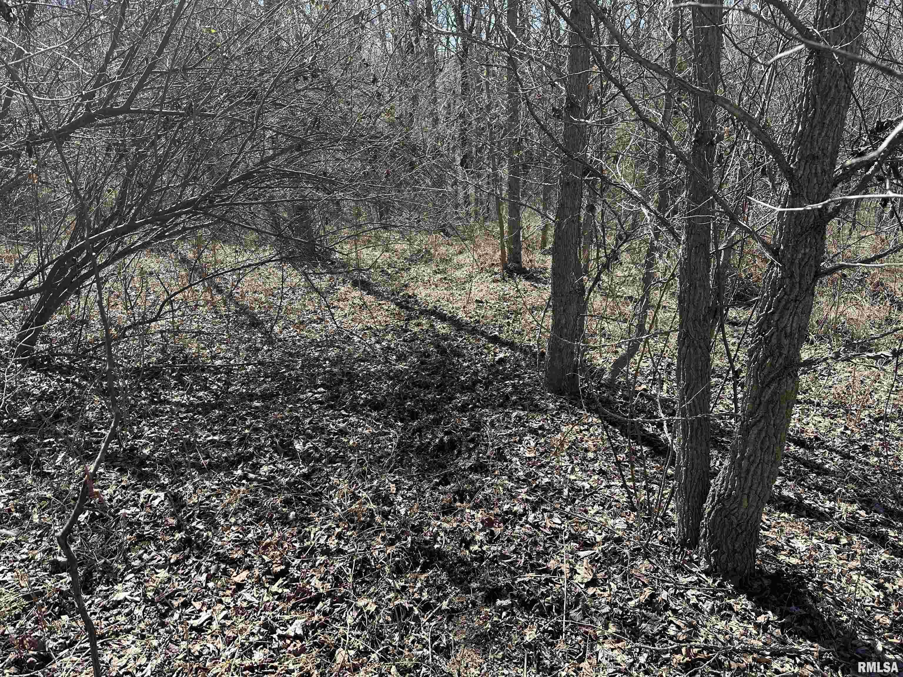 0 Propes Road Iuka, IL 62849 - Photo 26 of 100