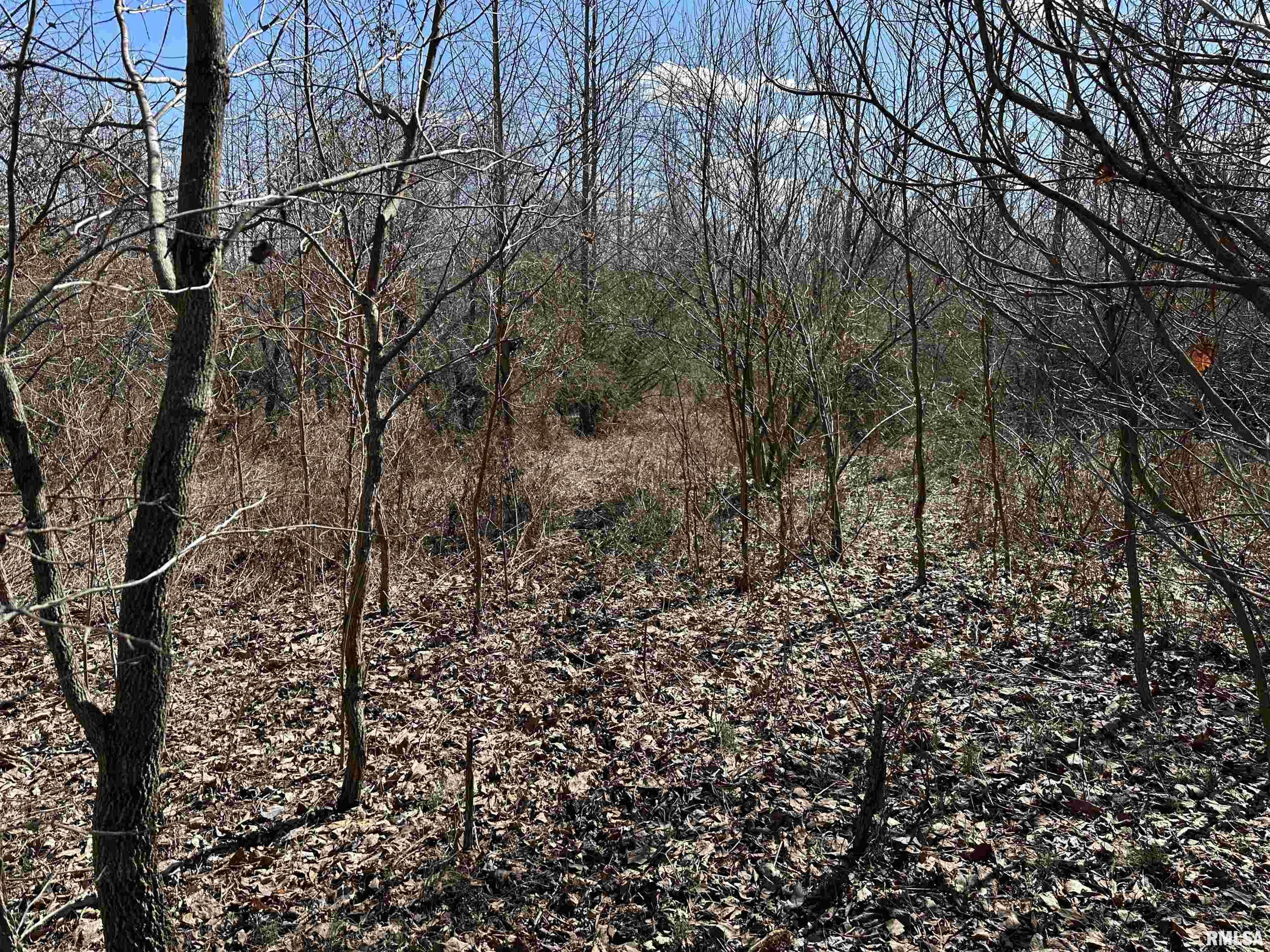 0 Propes Road Iuka, IL 62849 - Photo 27 of 100