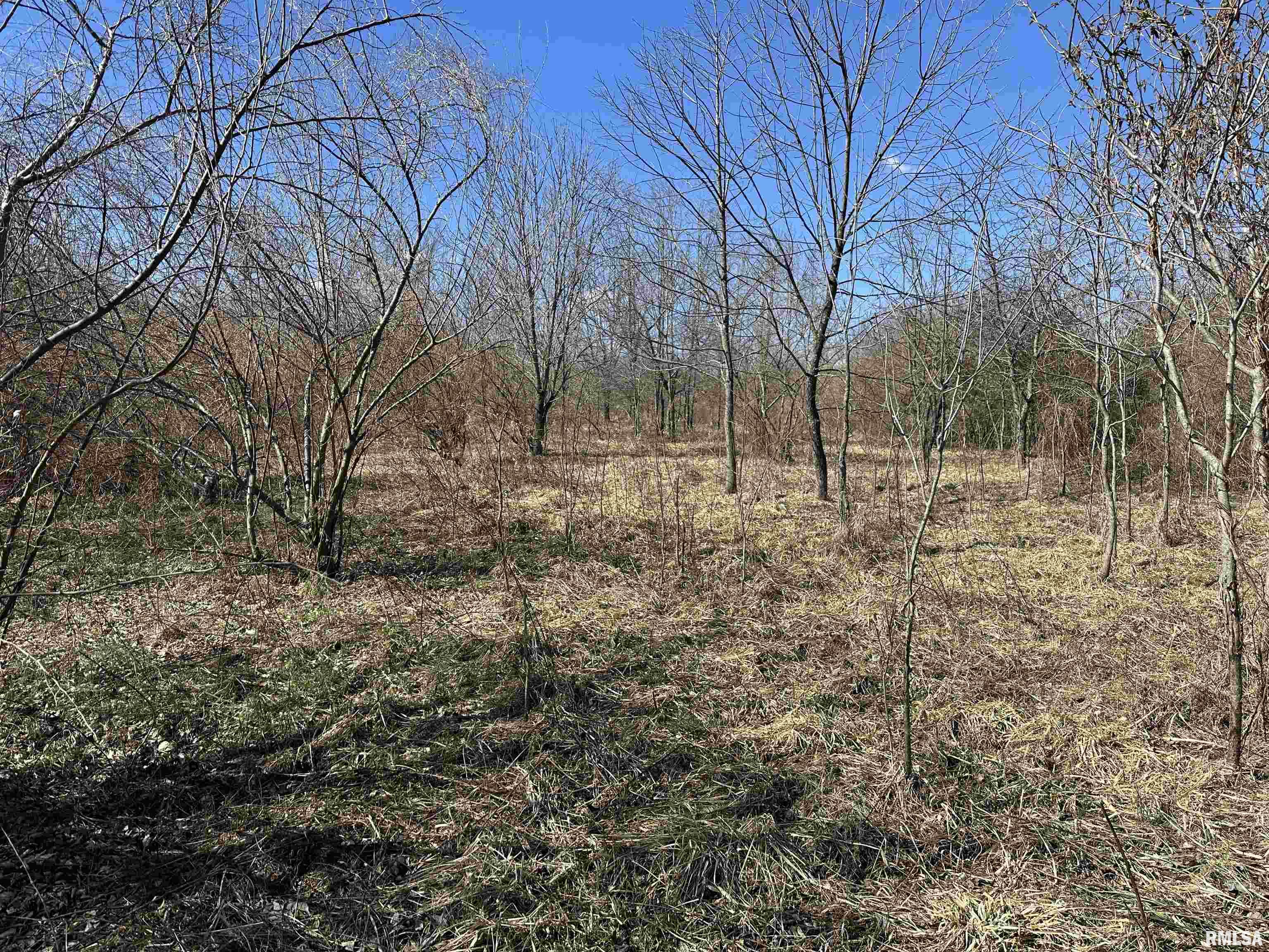 0 Propes Road Iuka, IL 62849 - Photo 28 of 100