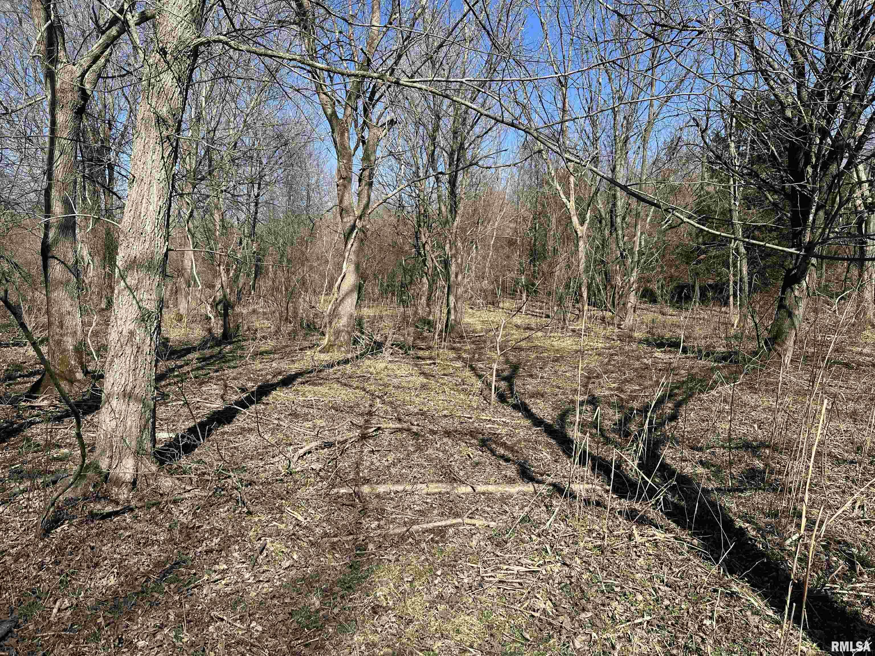 0 Propes Road Iuka, IL 62849 - Photo 29 of 100