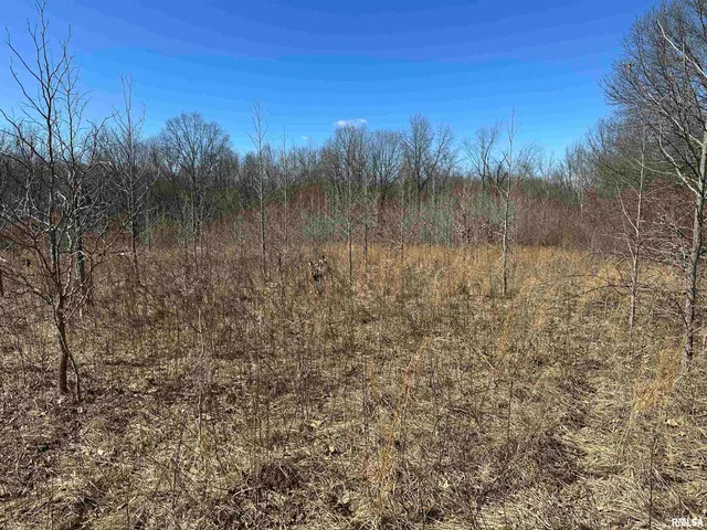 $840,000 | 0 Propes Road, Iuka, IL 62849