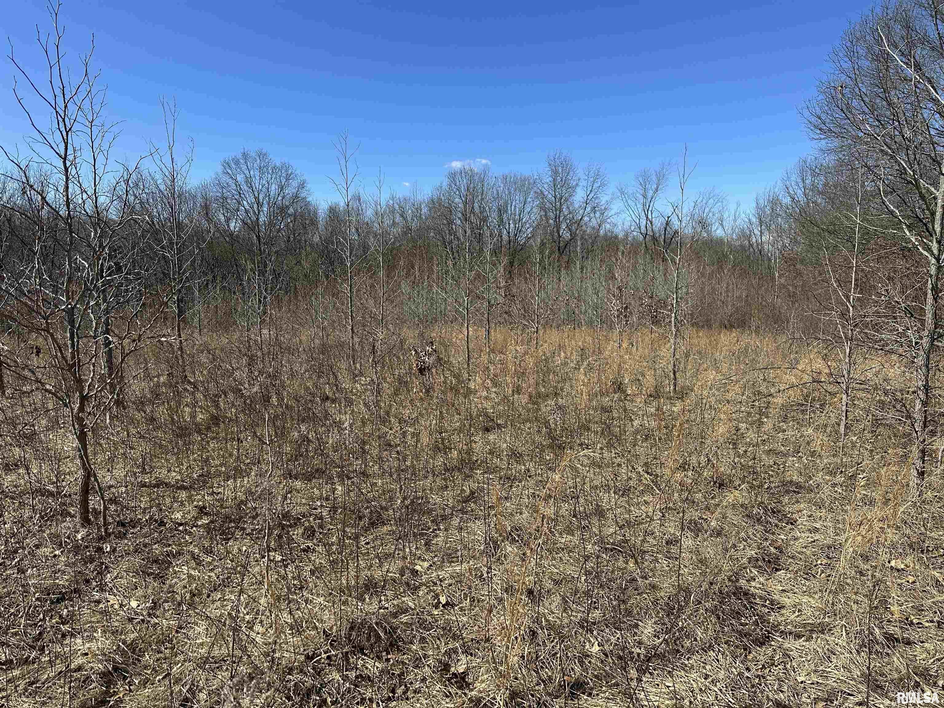 0 Propes Road Iuka, IL 62849 - Photo 30 of 100