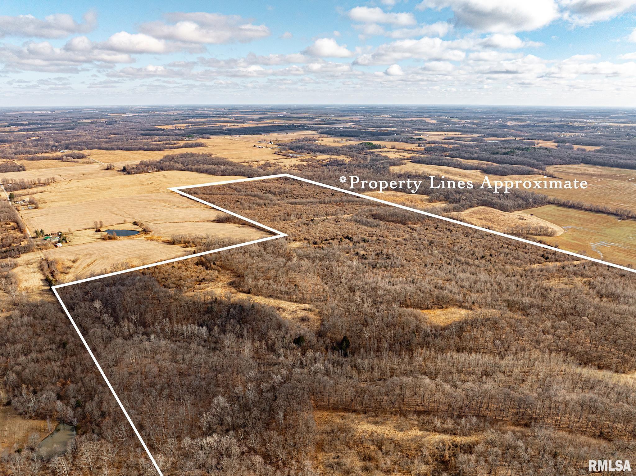 0 Propes Road Iuka, IL 62849 - Photo 3 of 100