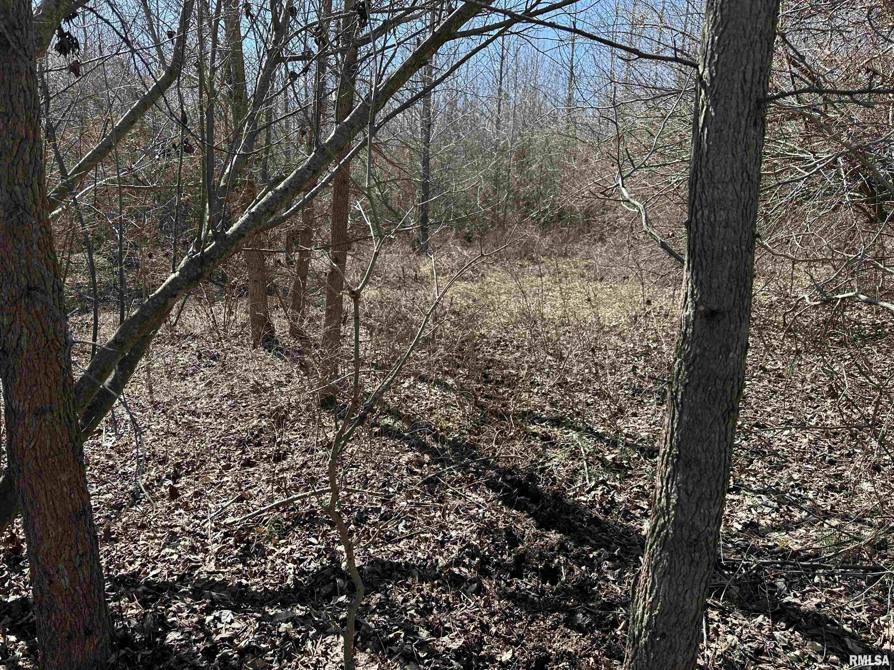 0 Propes Road Iuka, IL 62849 - Photo 32 of 100