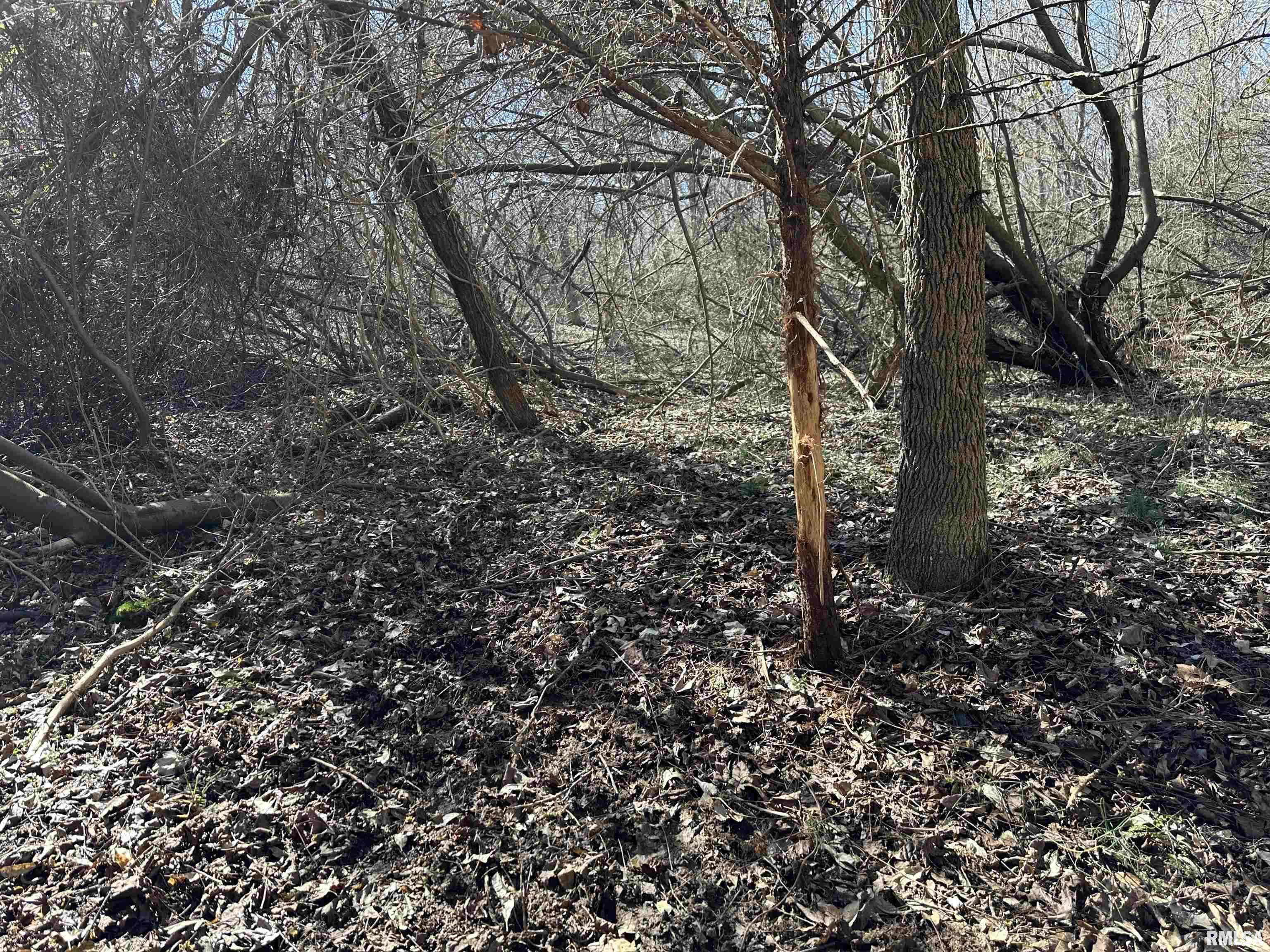 0 Propes Road Iuka, IL 62849 - Photo 33 of 100