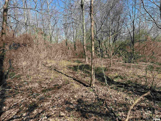 $840,000 | 0 Propes Road, Iuka, IL 62849