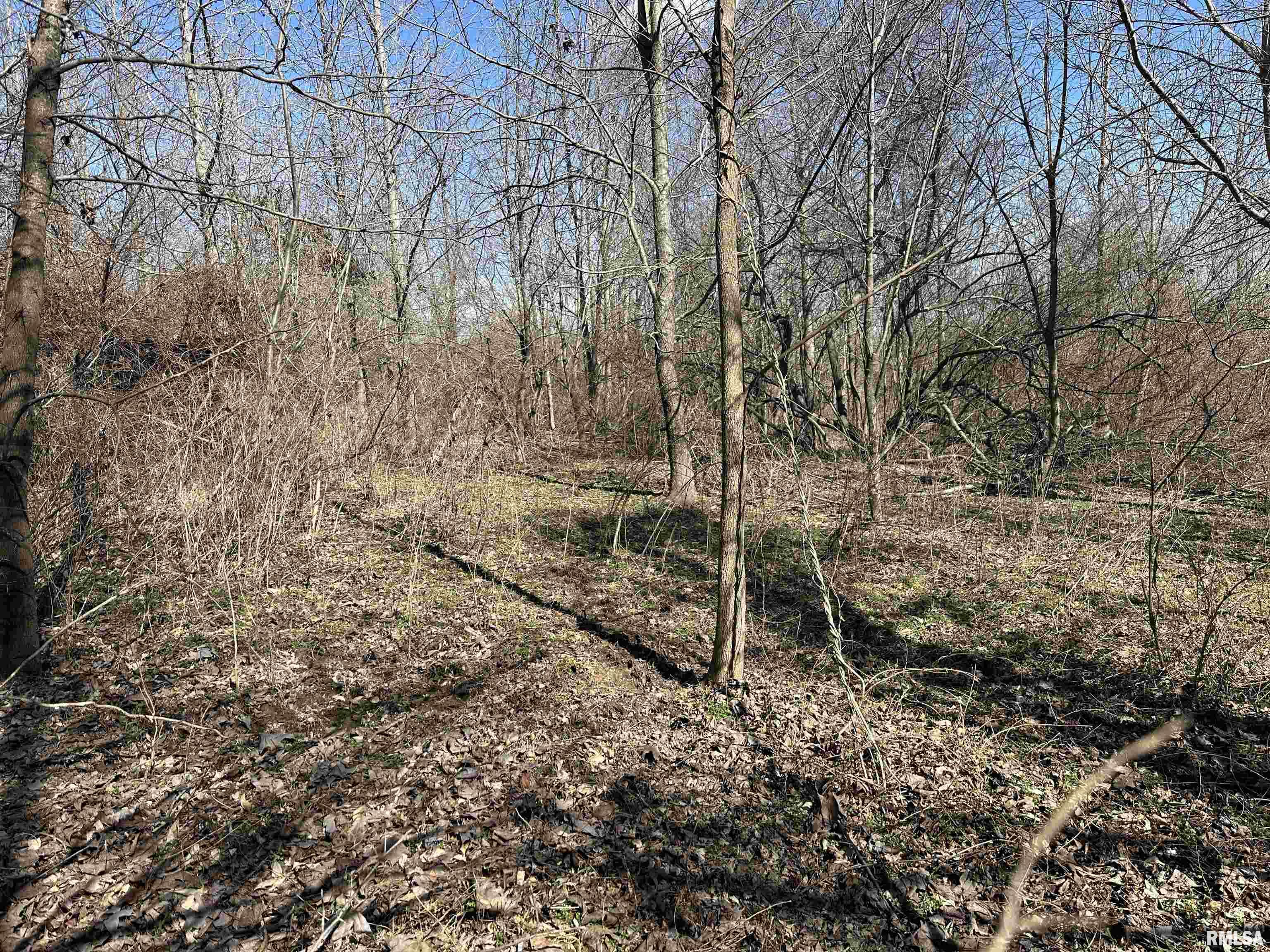 0 Propes Road Iuka, IL 62849 - Photo 34 of 100