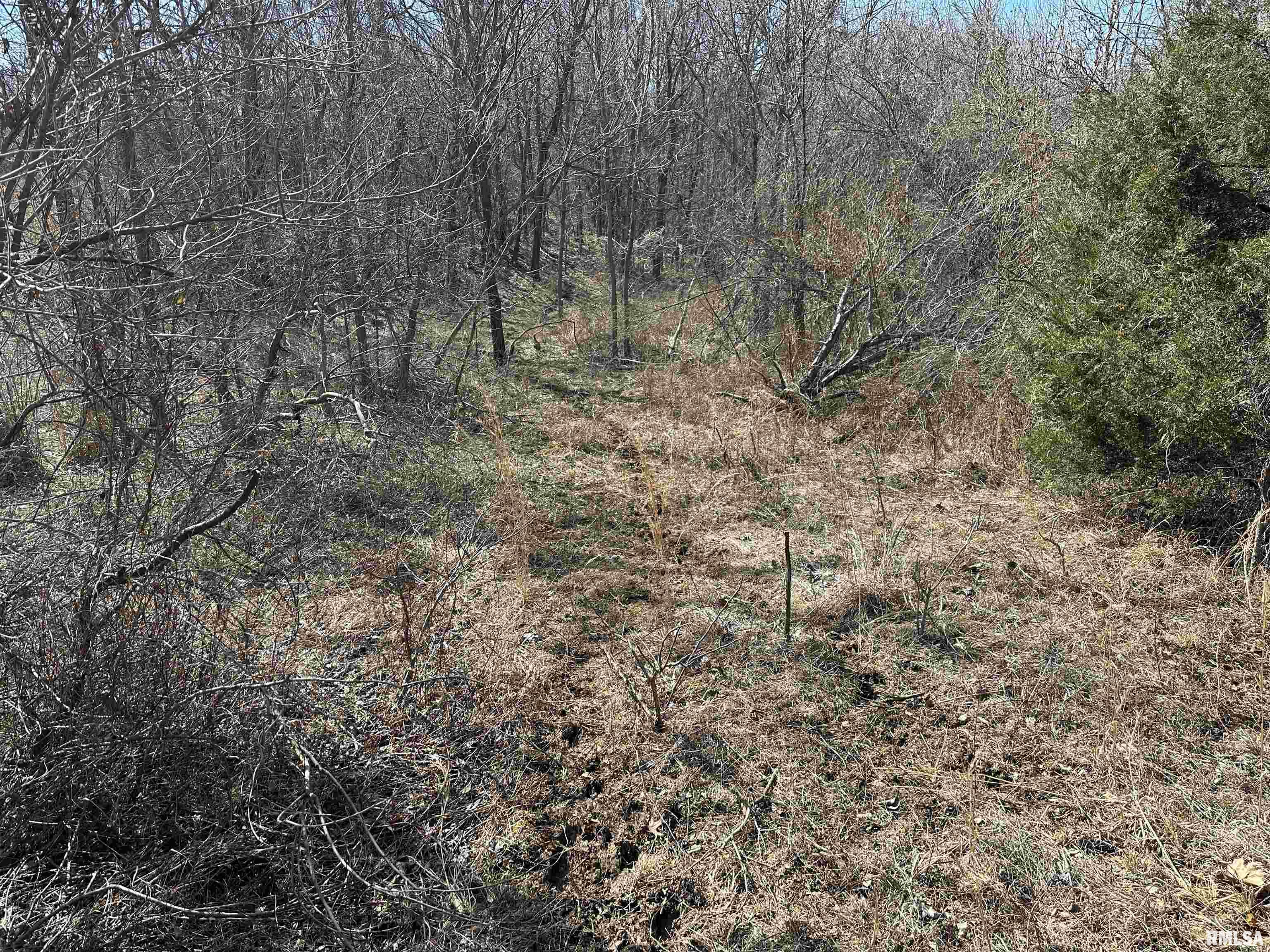 0 Propes Road Iuka, IL 62849 - Photo 35 of 100