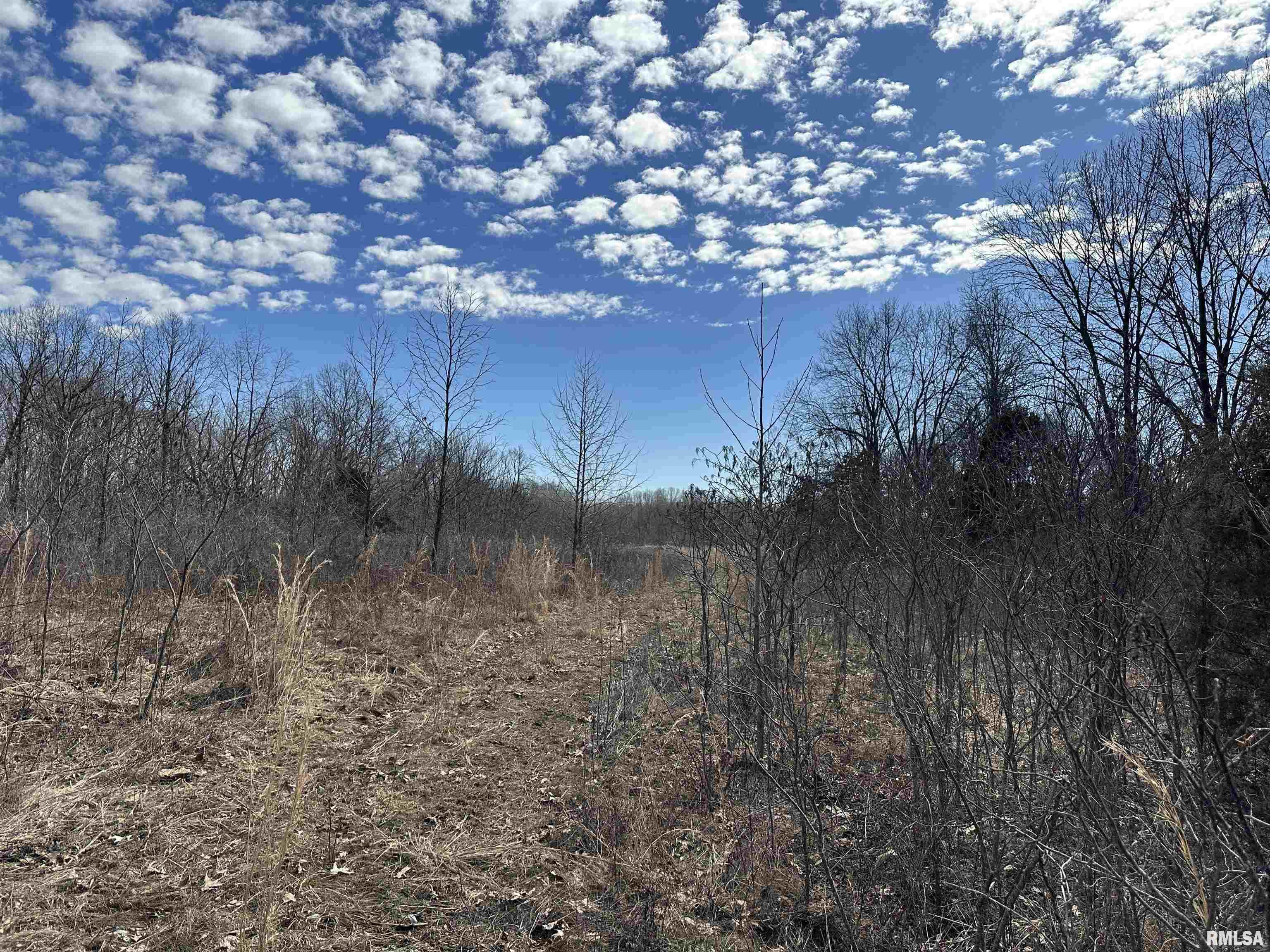 0 Propes Road Iuka, IL 62849 - Photo 37 of 100