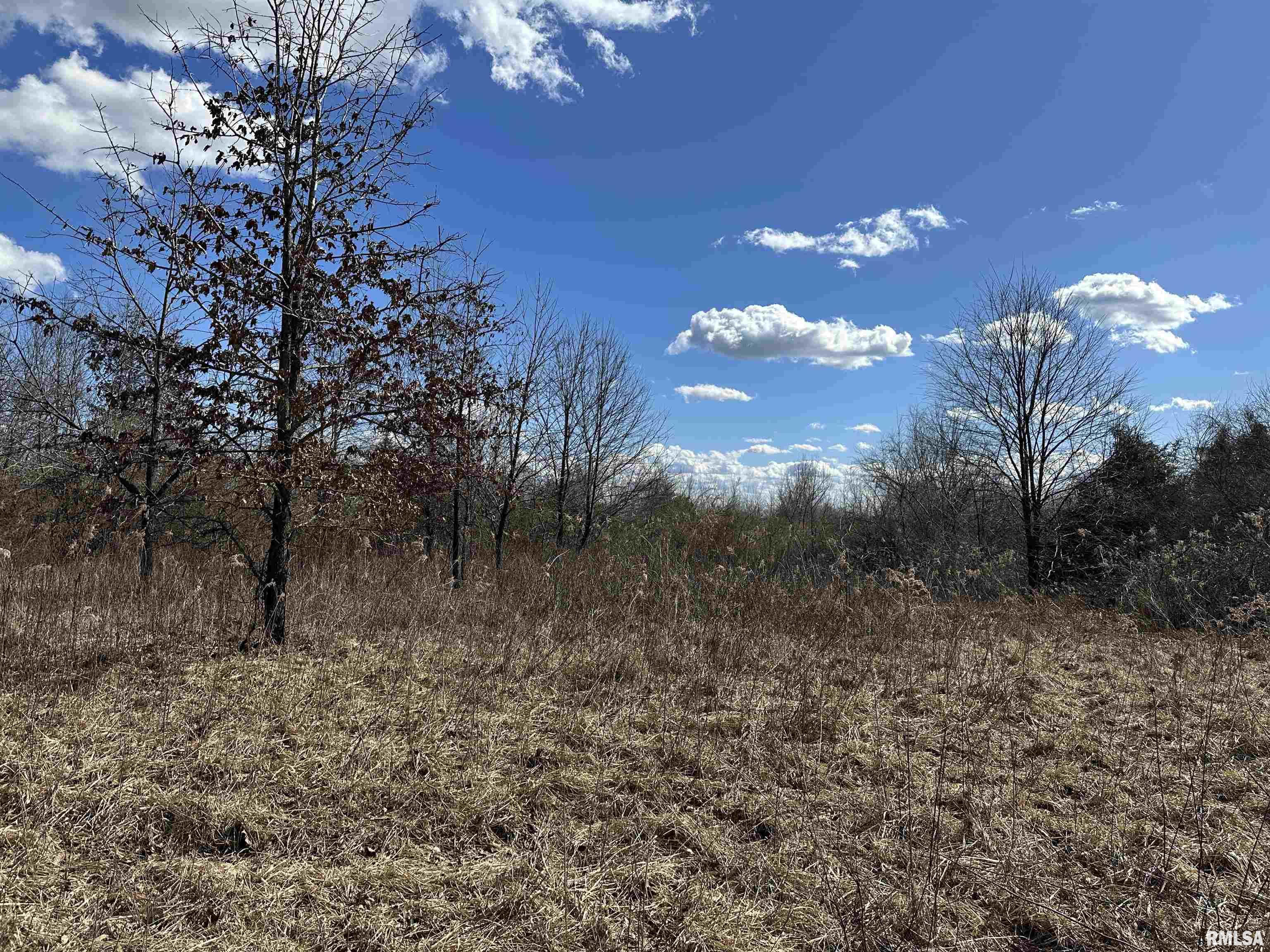 0 Propes Road Iuka, IL 62849 - Photo 38 of 100