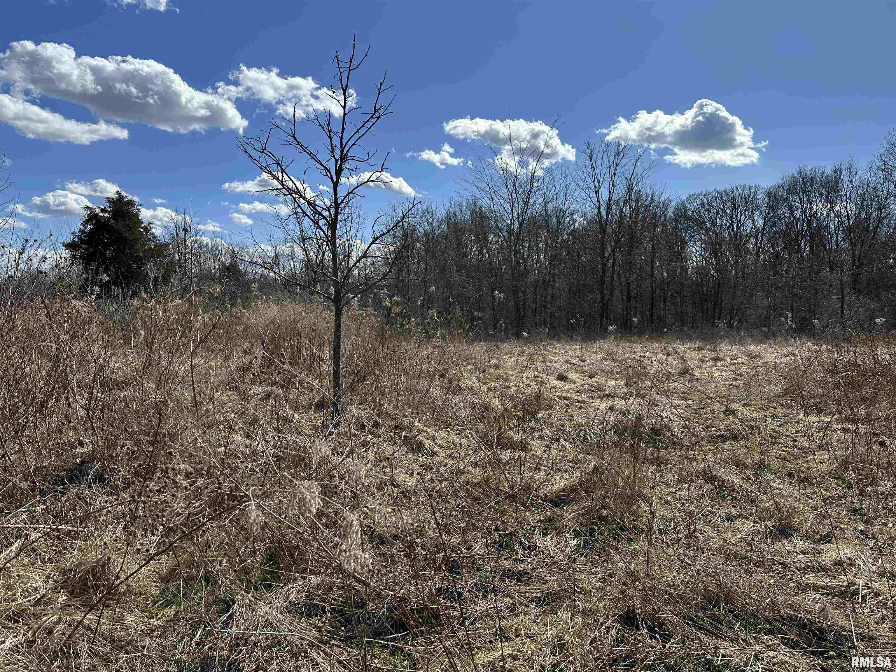 0 Propes Road Iuka, IL 62849 - Photo 39 of 100