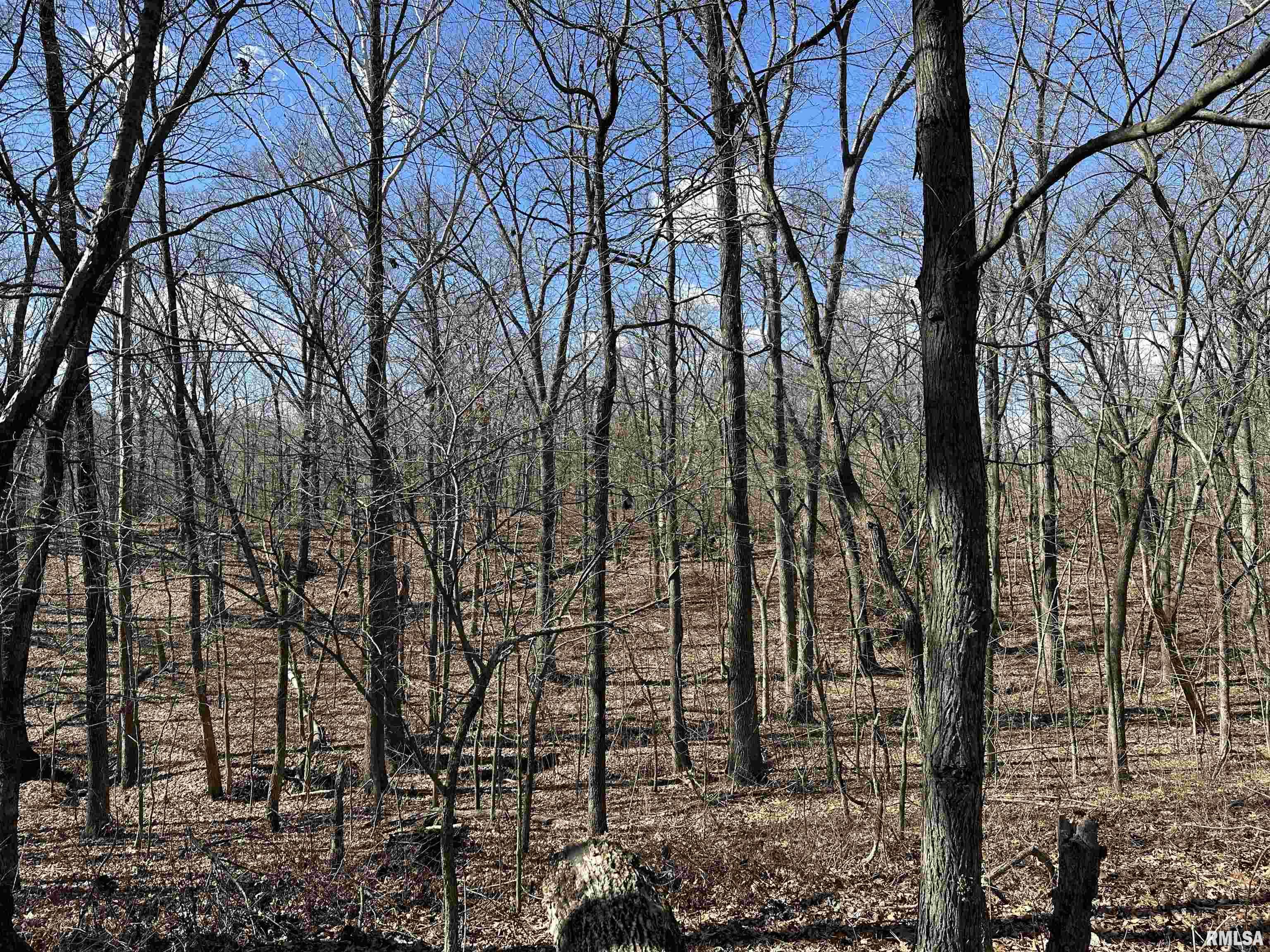 0 Propes Road Iuka, IL 62849 - Photo 40 of 100