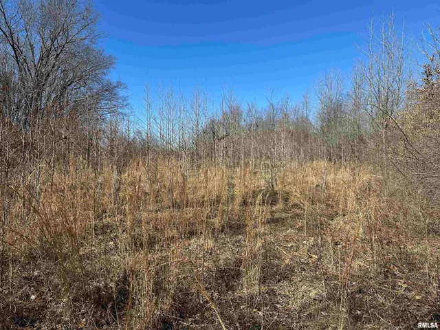 $840,000 | 0 Propes Road, Iuka, IL 62849