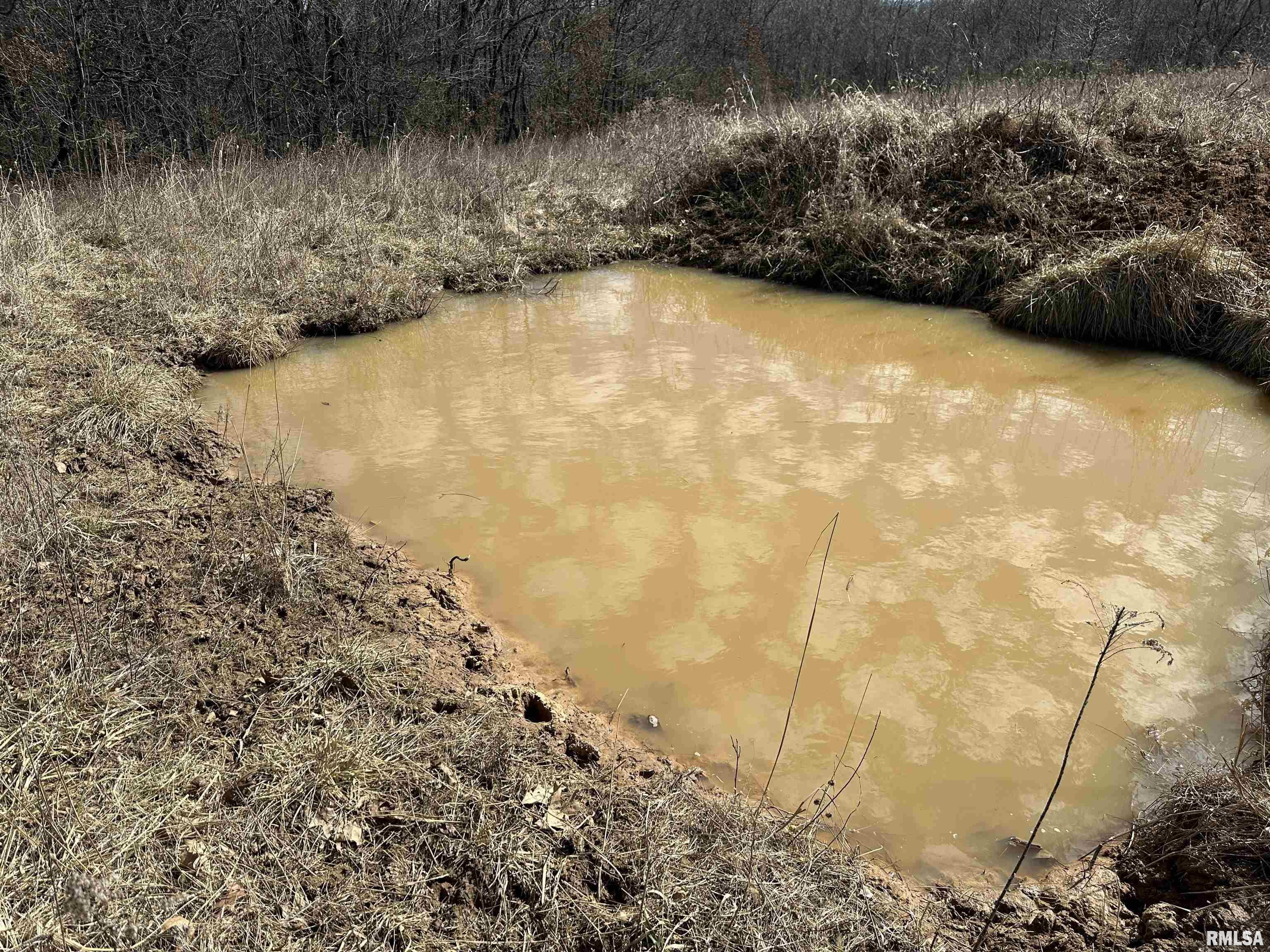 0 Propes Road Iuka, IL 62849 - Photo 42 of 100