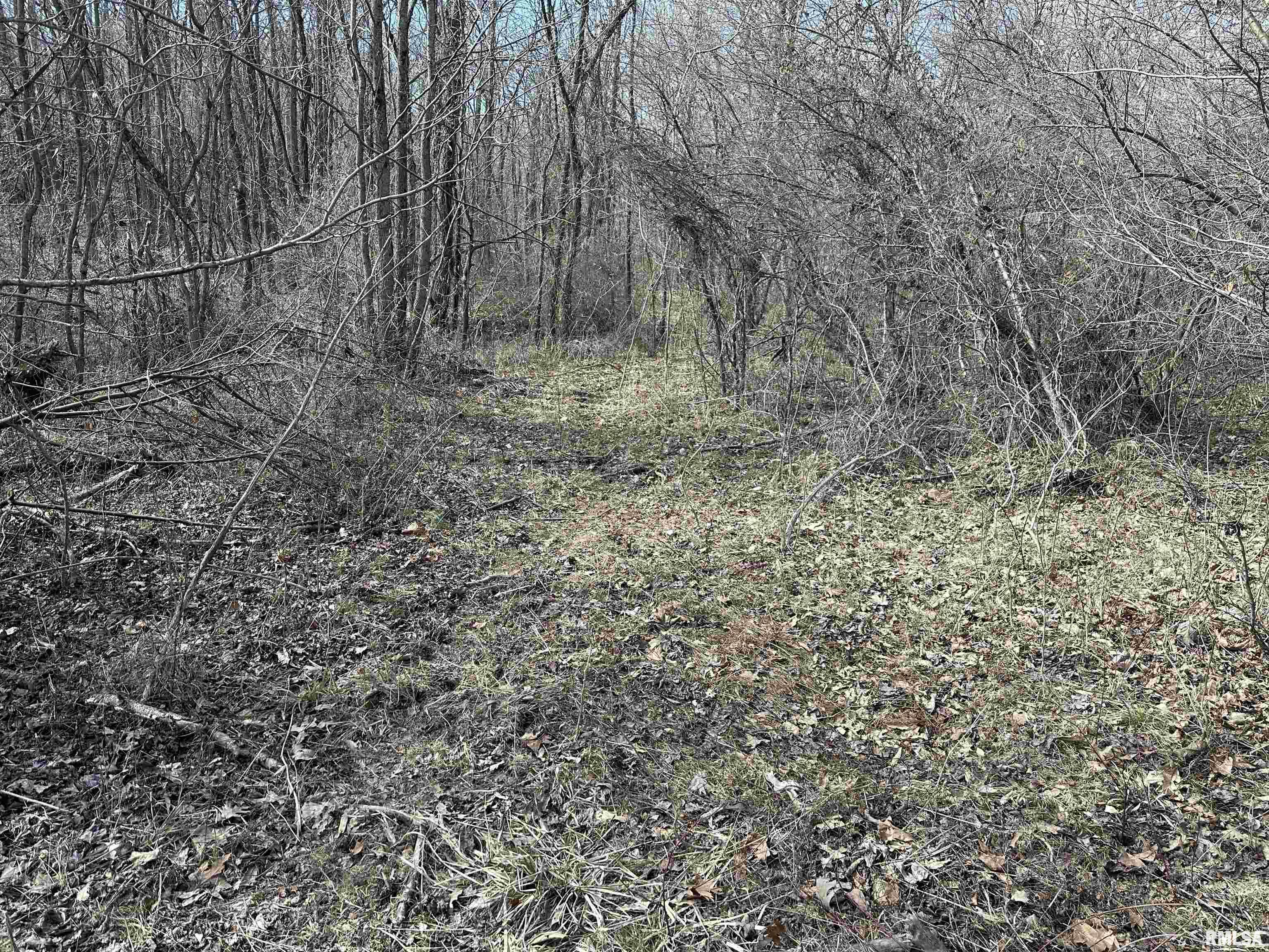 0 Propes Road Iuka, IL 62849 - Photo 43 of 100