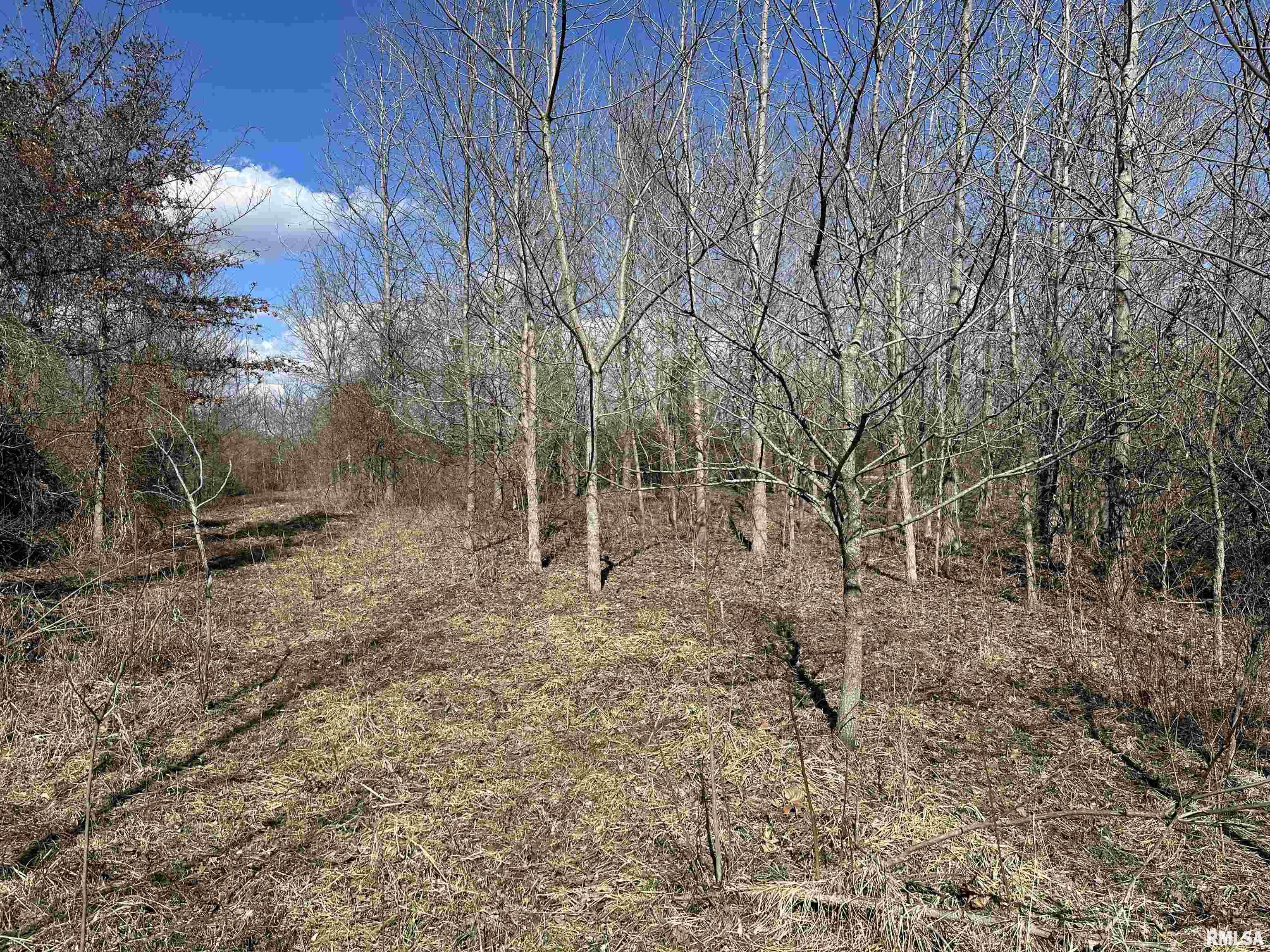 0 Propes Road Iuka, IL 62849 - Photo 44 of 100