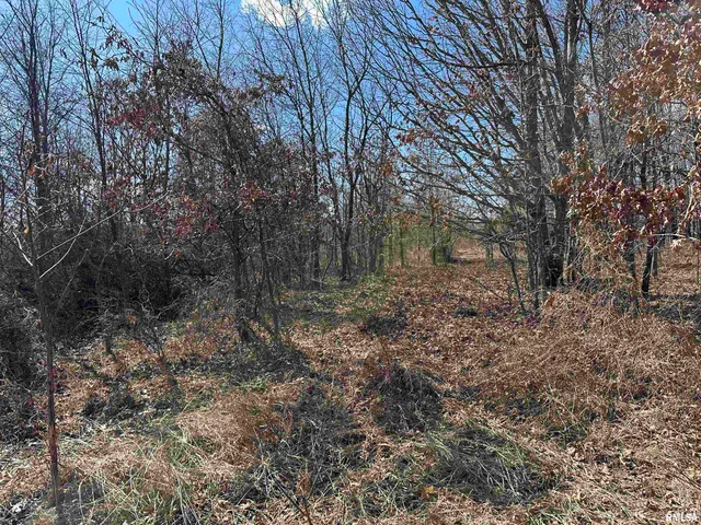 $840,000 | 0 Propes Road, Iuka, IL 62849