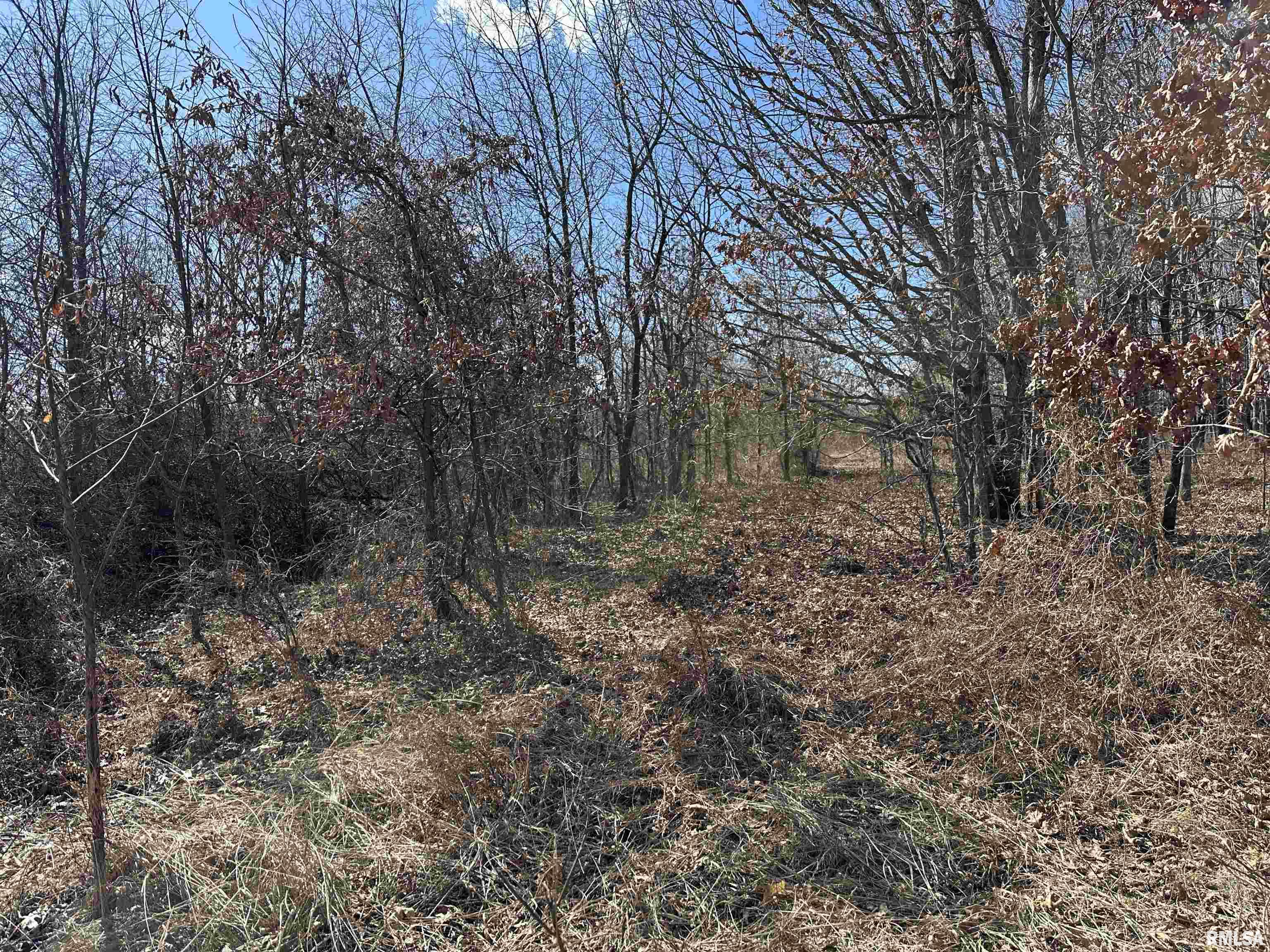 0 Propes Road Iuka, IL 62849 - Photo 45 of 100