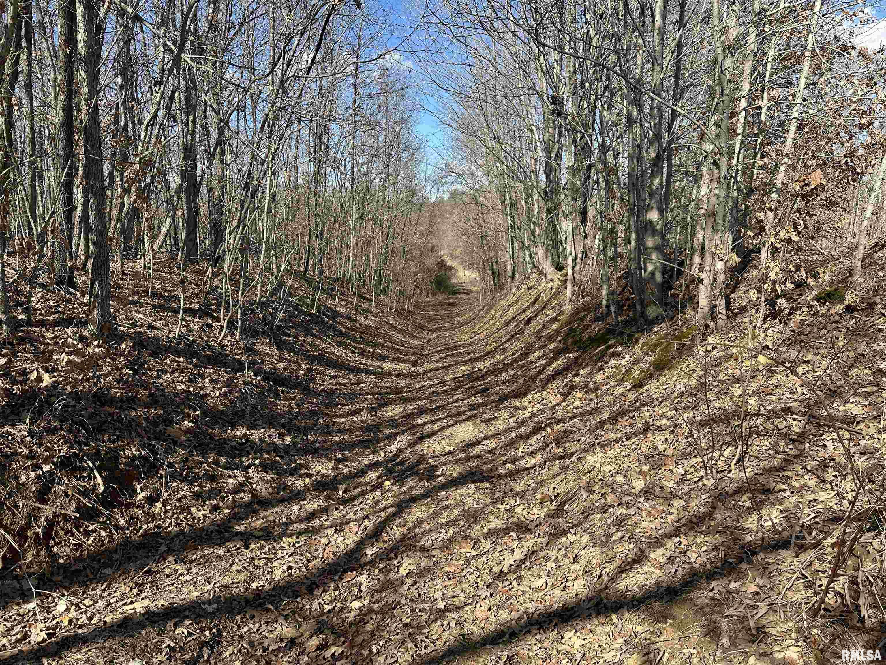 0 Propes Road Iuka, IL 62849 - Photo 46 of 100