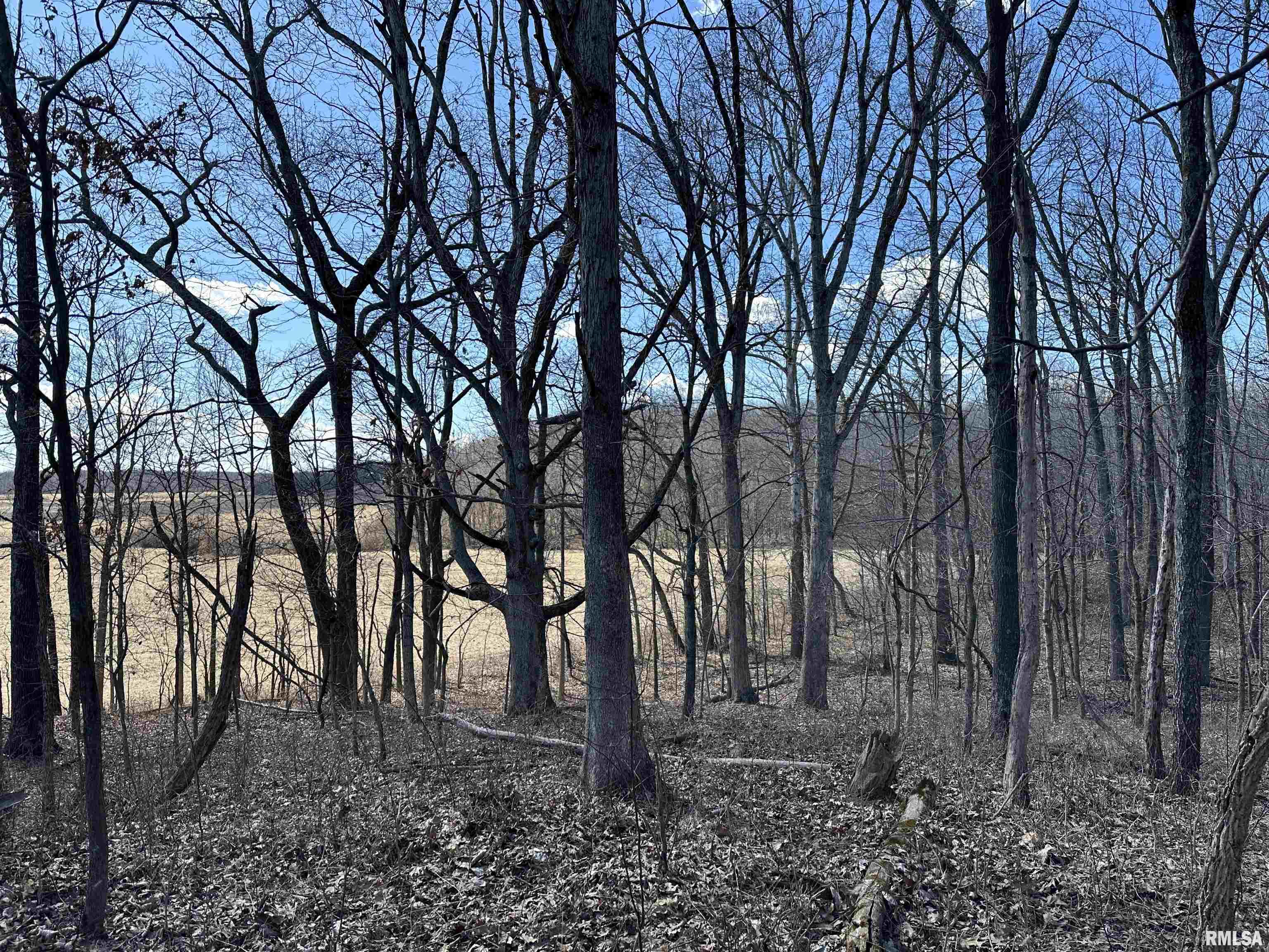 0 Propes Road Iuka, IL 62849 - Photo 47 of 100