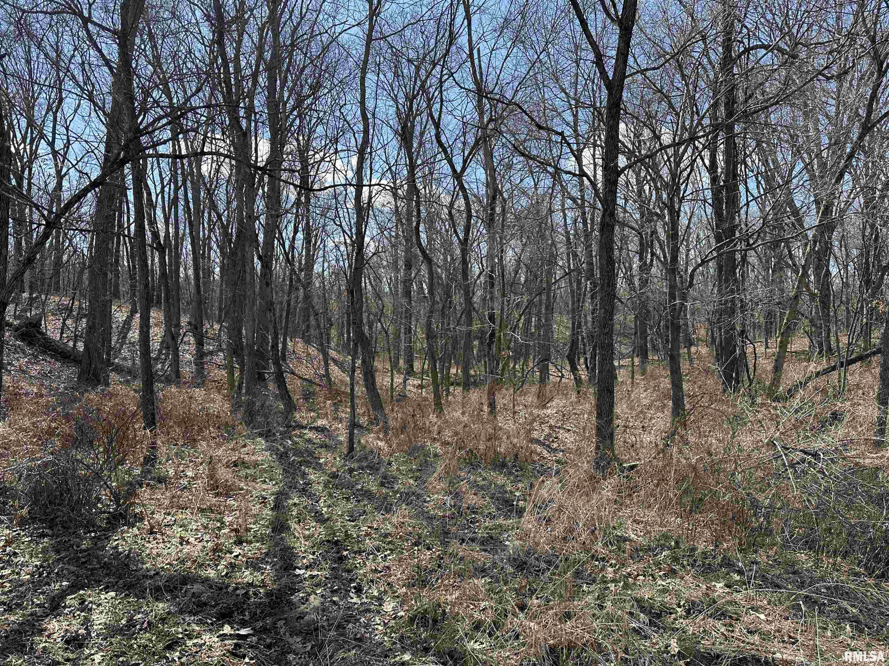 0 Propes Road Iuka, IL 62849 - Photo 48 of 100