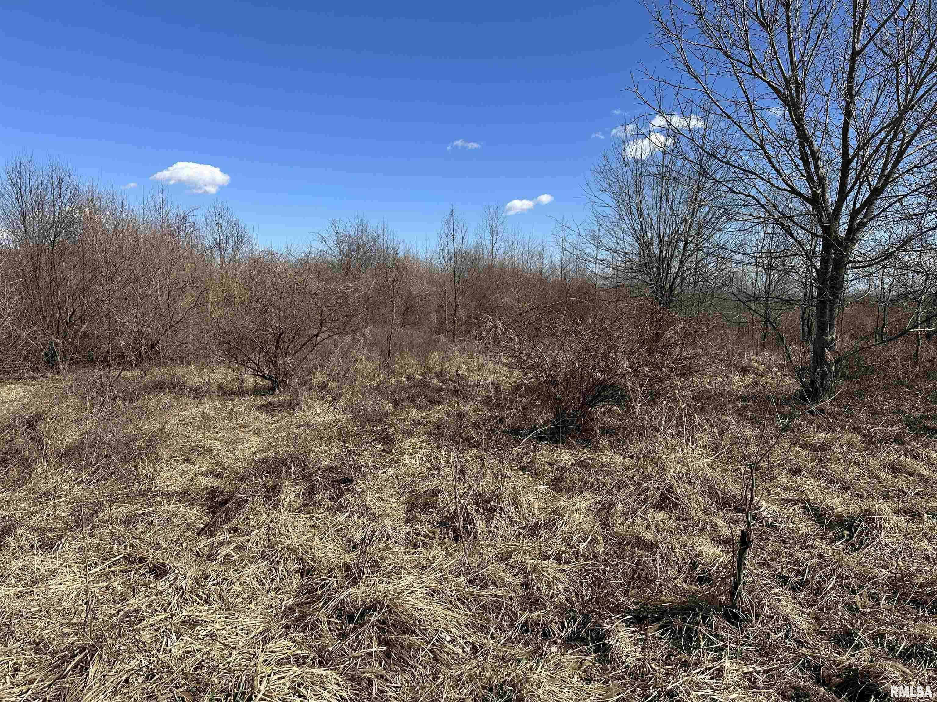 0 Propes Road Iuka, IL 62849 - Photo 49 of 100