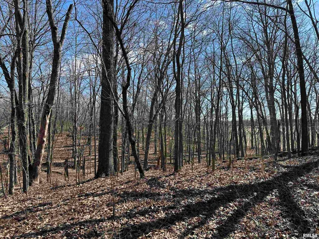 $840,000 | 0 Propes Road, Iuka, IL 62849