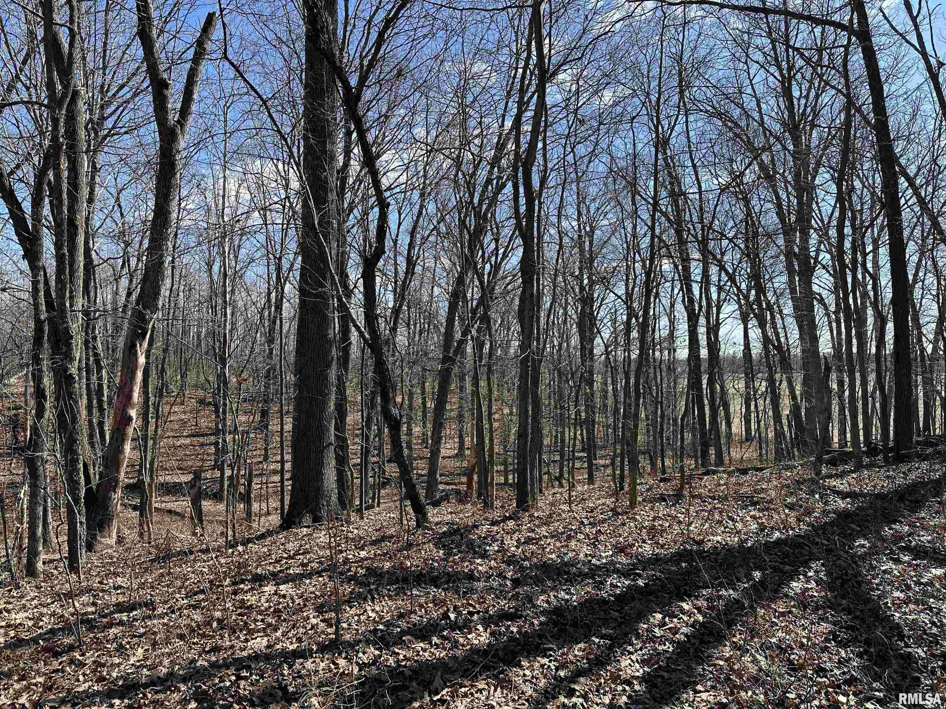 0 Propes Road Iuka, IL 62849 - Photo 50 of 100