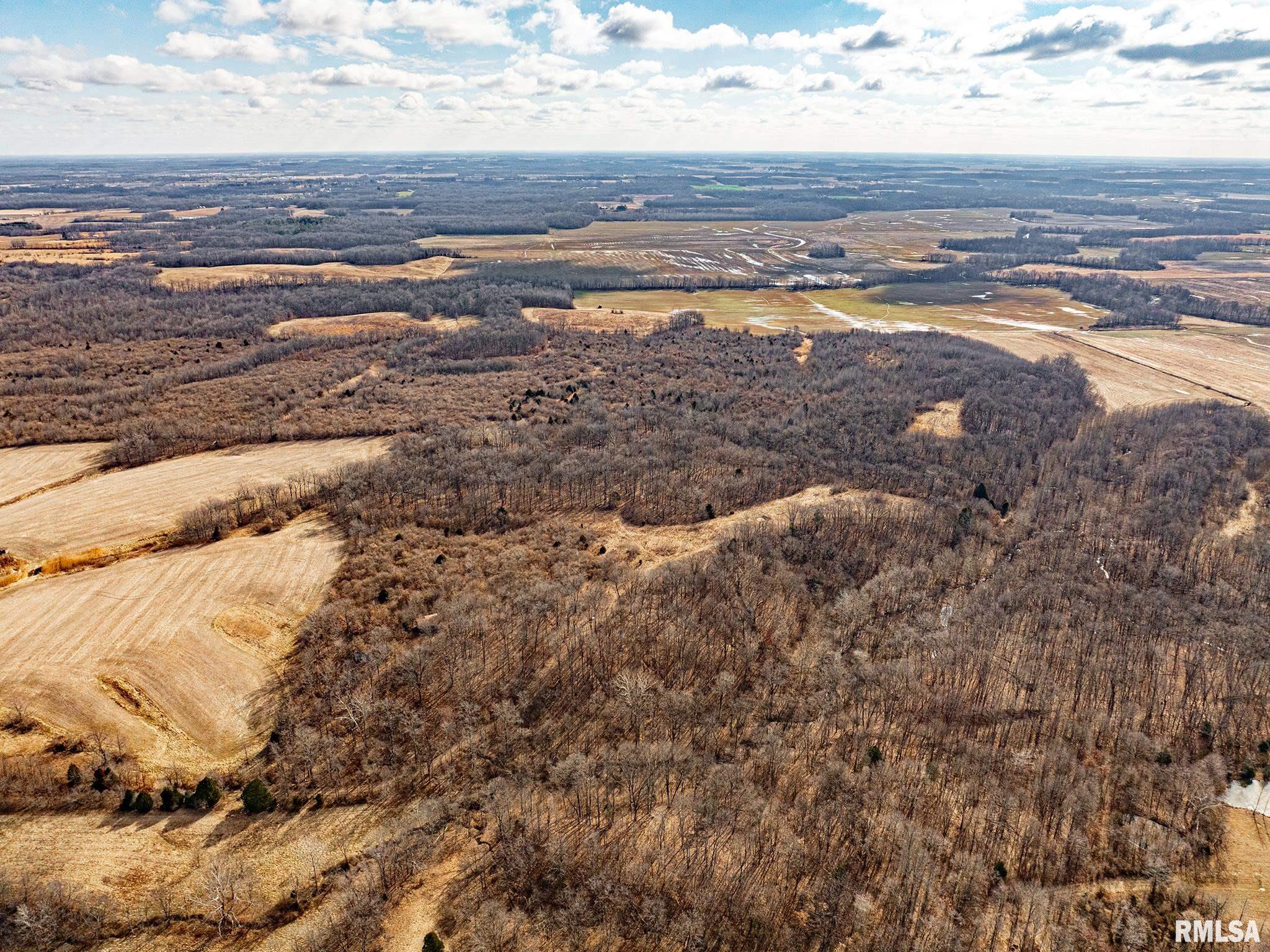 0 Propes Road Iuka, IL 62849 - Photo 5 of 100