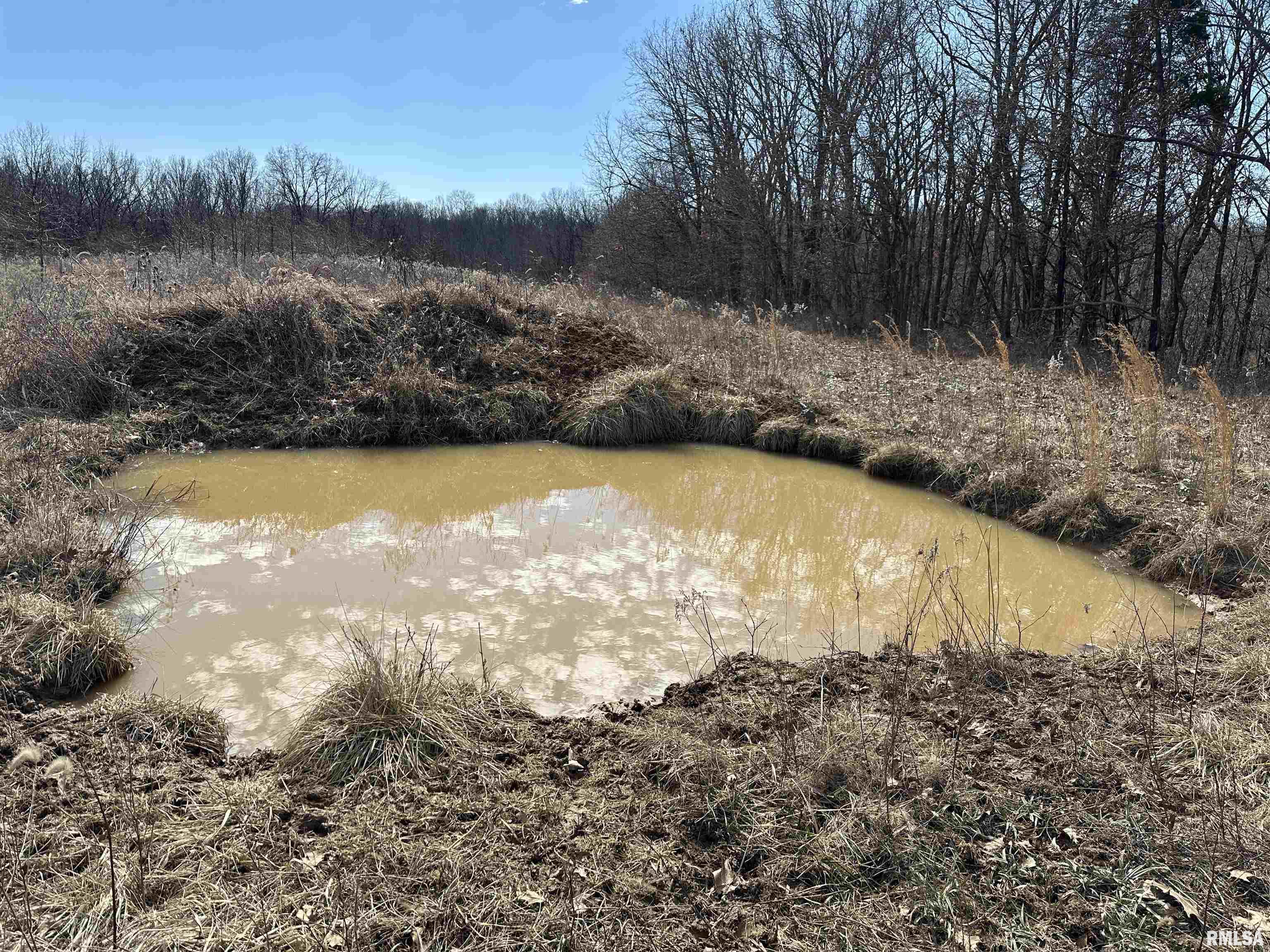 0 Propes Road Iuka, IL 62849 - Photo 51 of 100