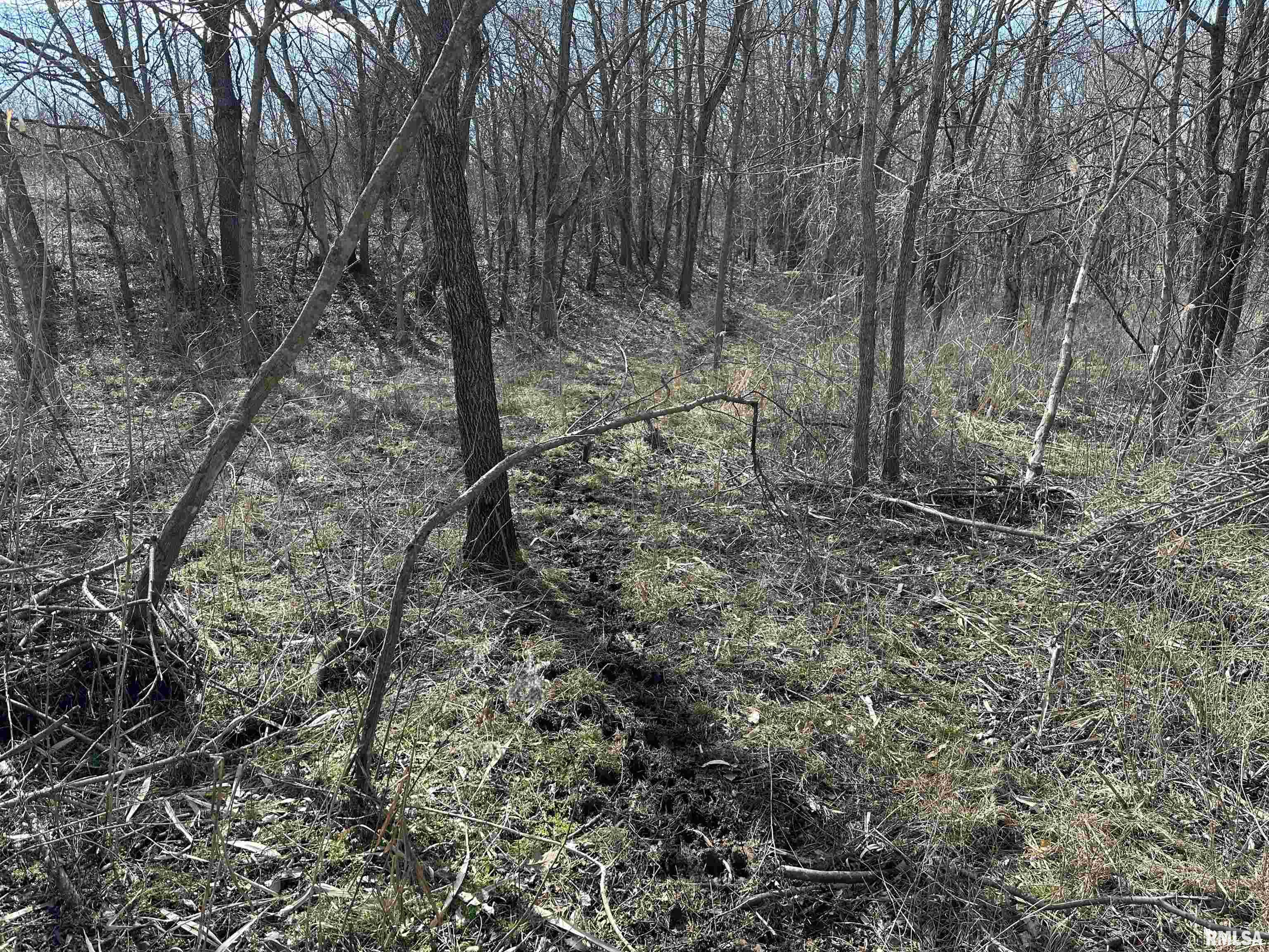 0 Propes Road Iuka, IL 62849 - Photo 52 of 100