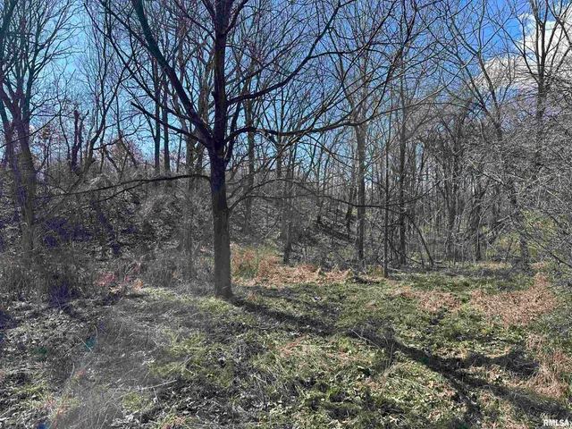 $840,000 | 0 Propes Road, Iuka, IL 62849