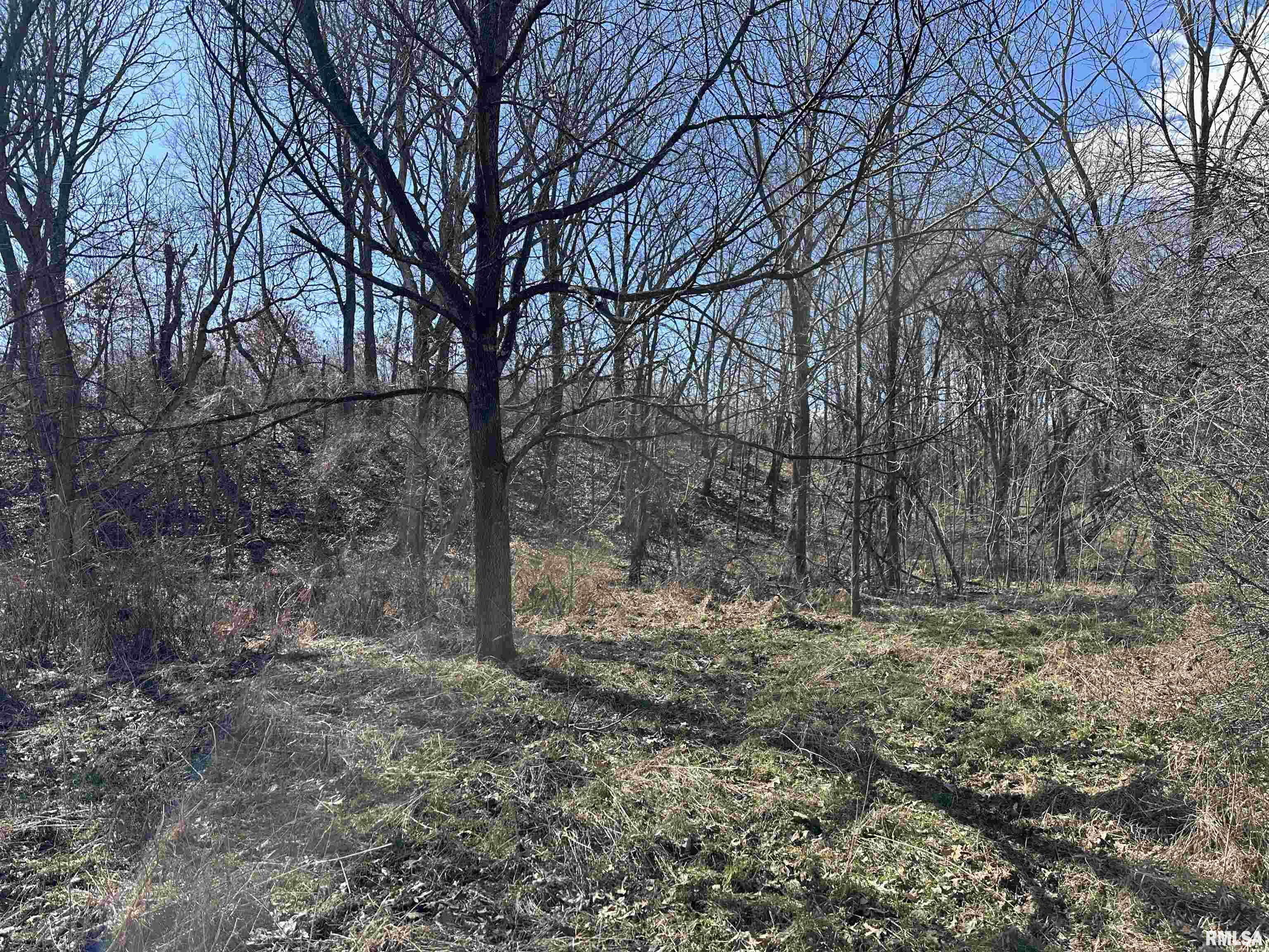 0 Propes Road Iuka, IL 62849 - Photo 54 of 100