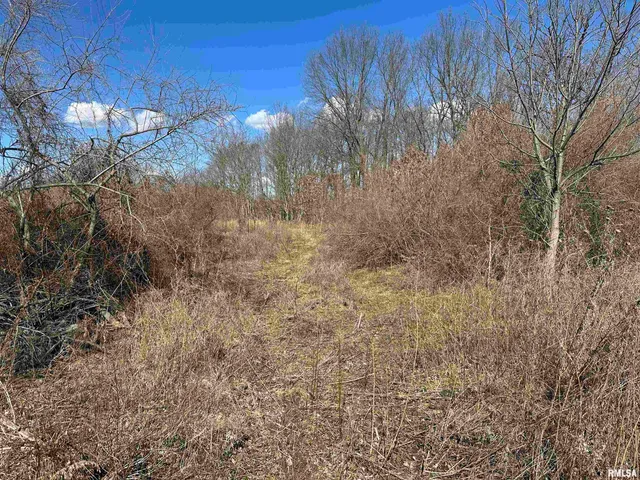 $840,000 | 0 Propes Road, Iuka, IL 62849