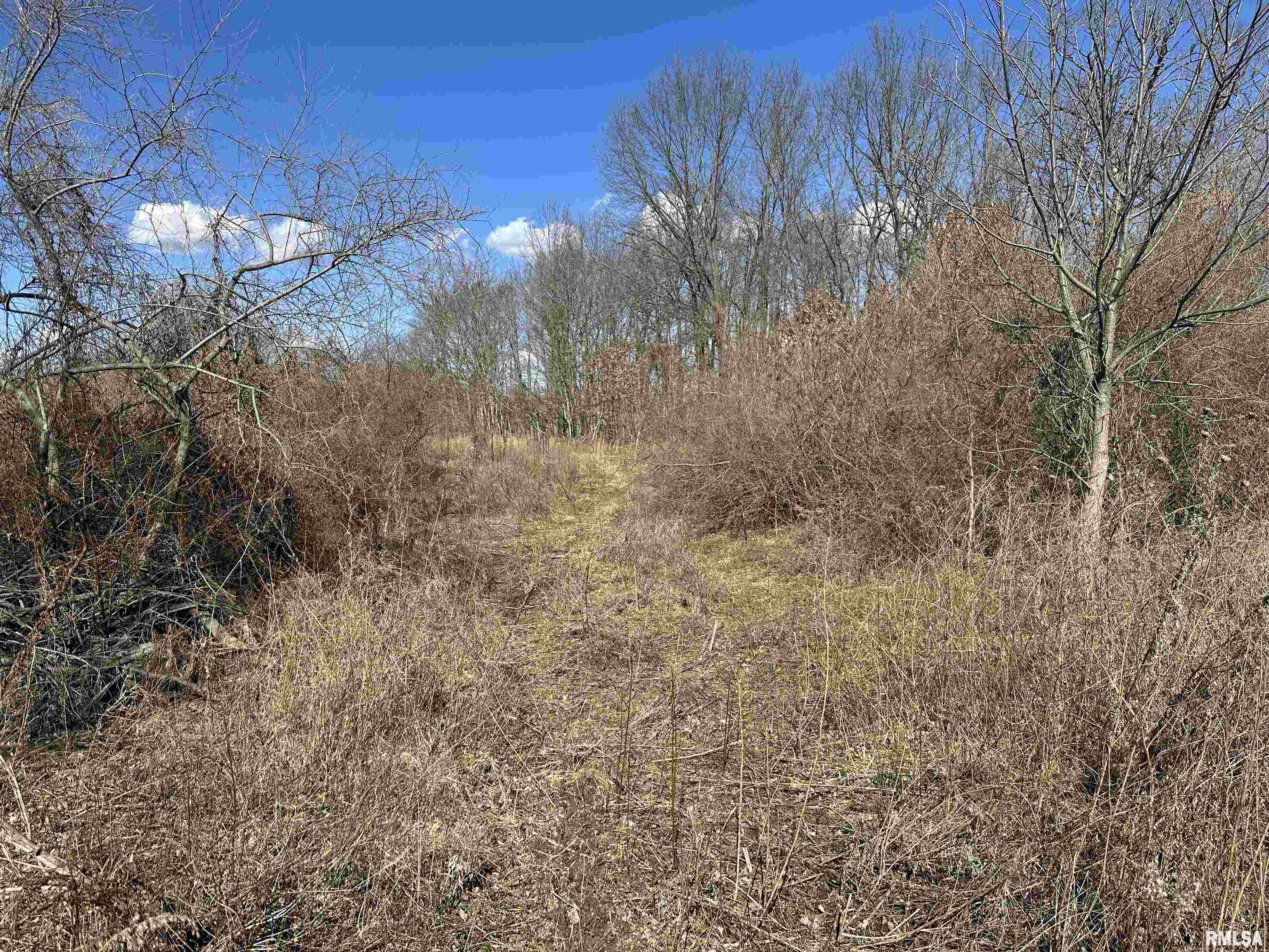 0 Propes Road Iuka, IL 62849 - Photo 55 of 100