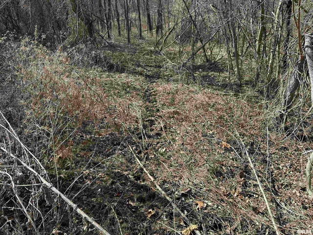 $840,000 | 0 Propes Road, Iuka, IL 62849