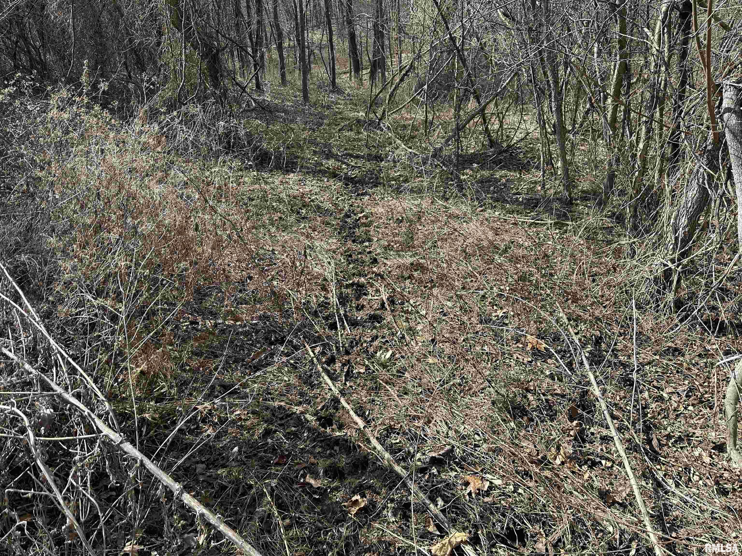 0 Propes Road Iuka, IL 62849 - Photo 56 of 100