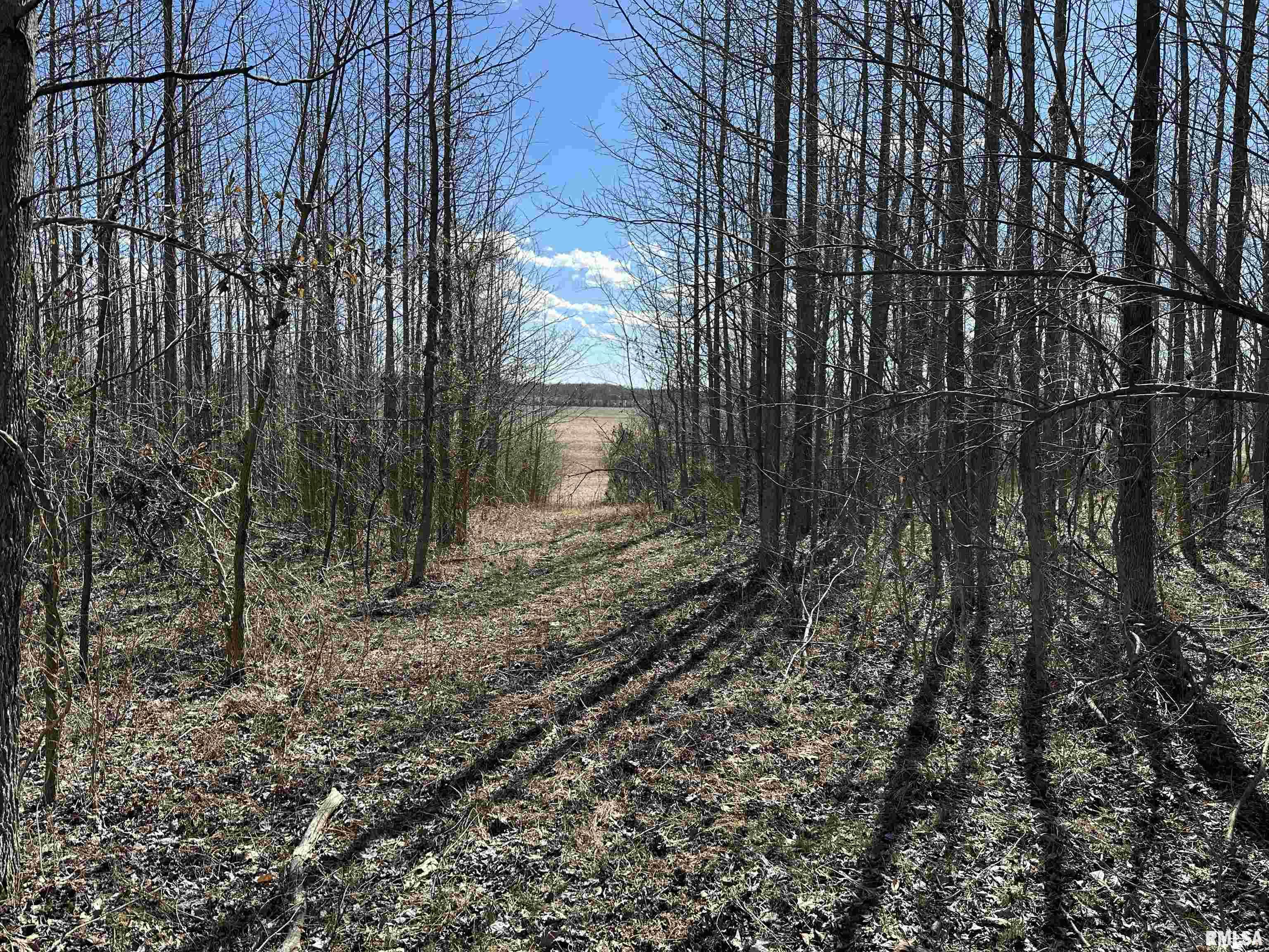 0 Propes Road Iuka, IL 62849 - Photo 57 of 100