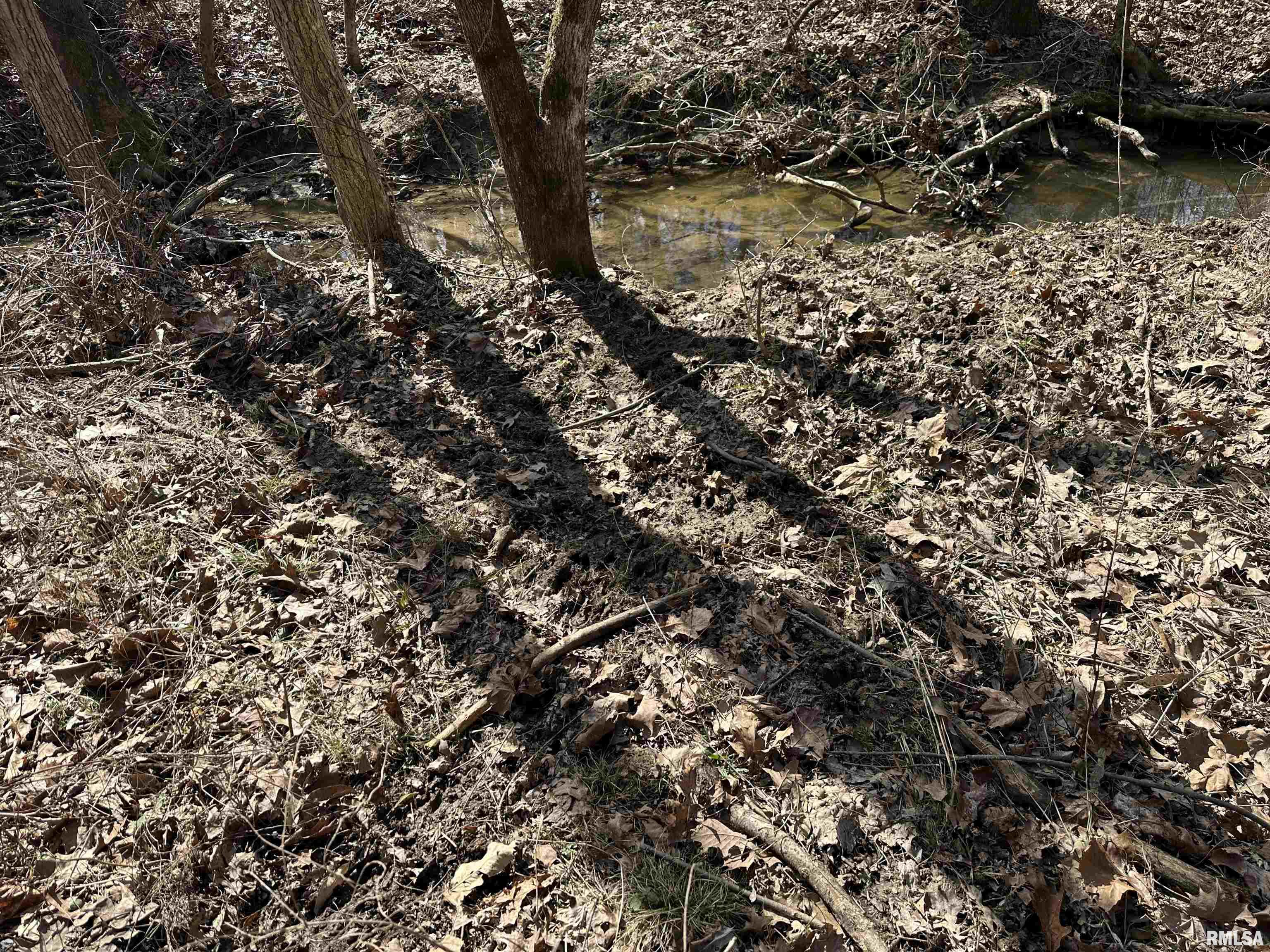 0 Propes Road Iuka, IL 62849 - Photo 58 of 100