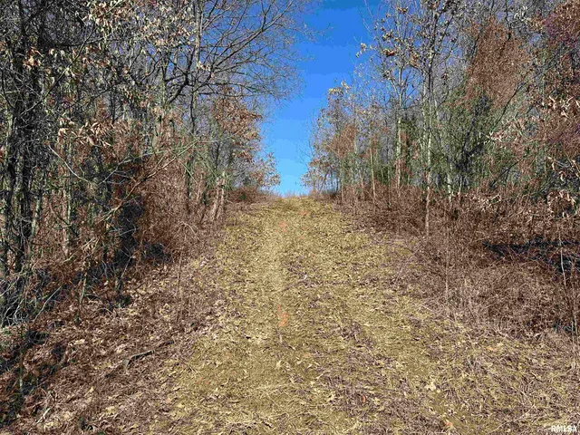 $840,000 | 0 Propes Road, Iuka, IL 62849