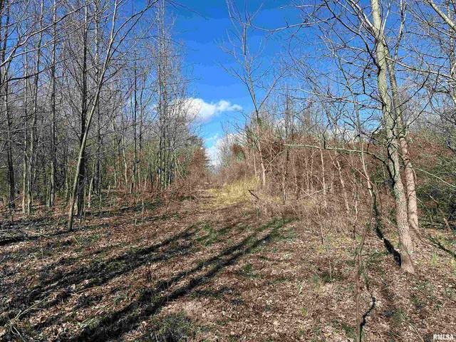 $840,000 | 0 Propes Road, Iuka, IL 62849