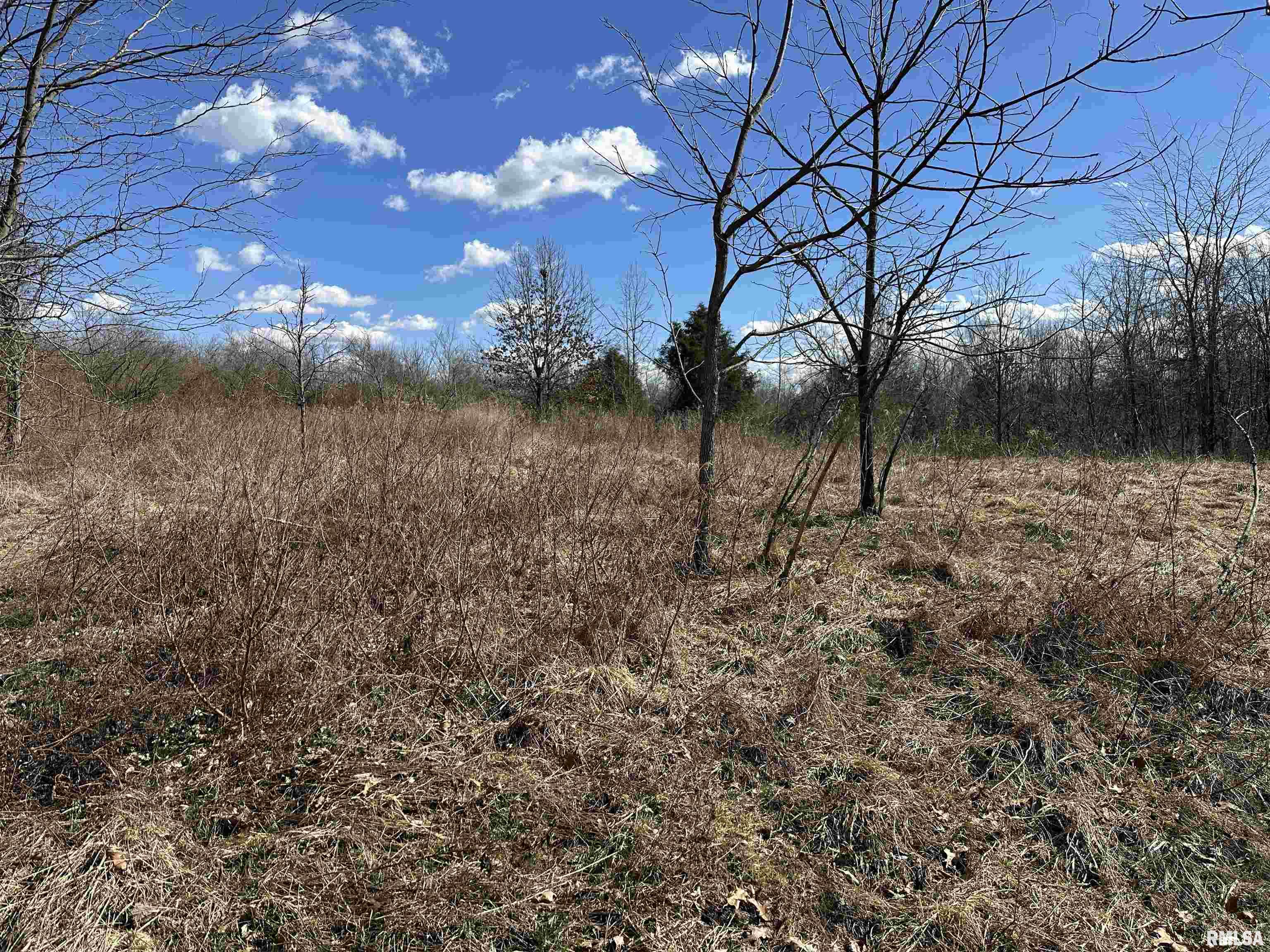 0 Propes Road Iuka, IL 62849 - Photo 62 of 100