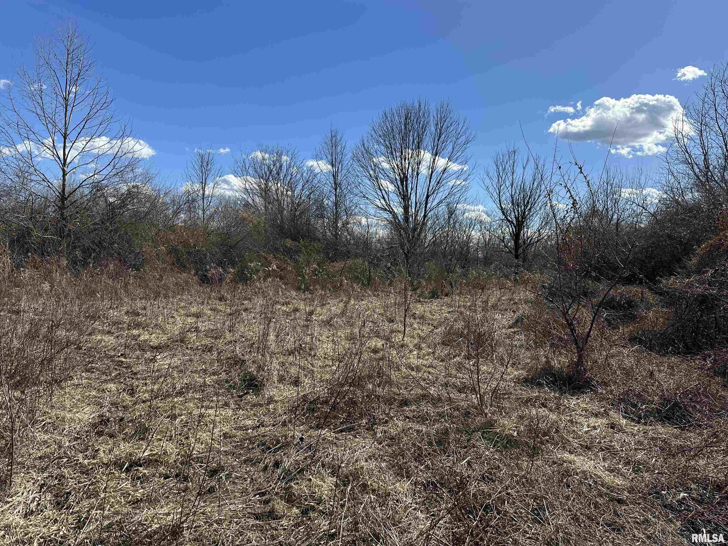 0 Propes Road Iuka, IL 62849 - Photo 63 of 100