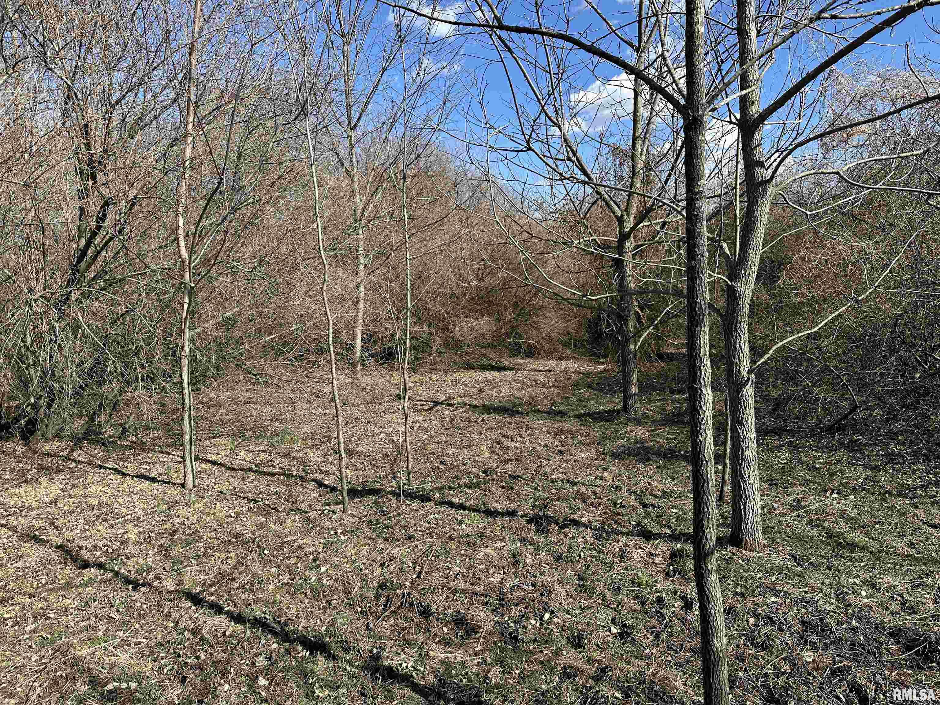 0 Propes Road Iuka, IL 62849 - Photo 64 of 100