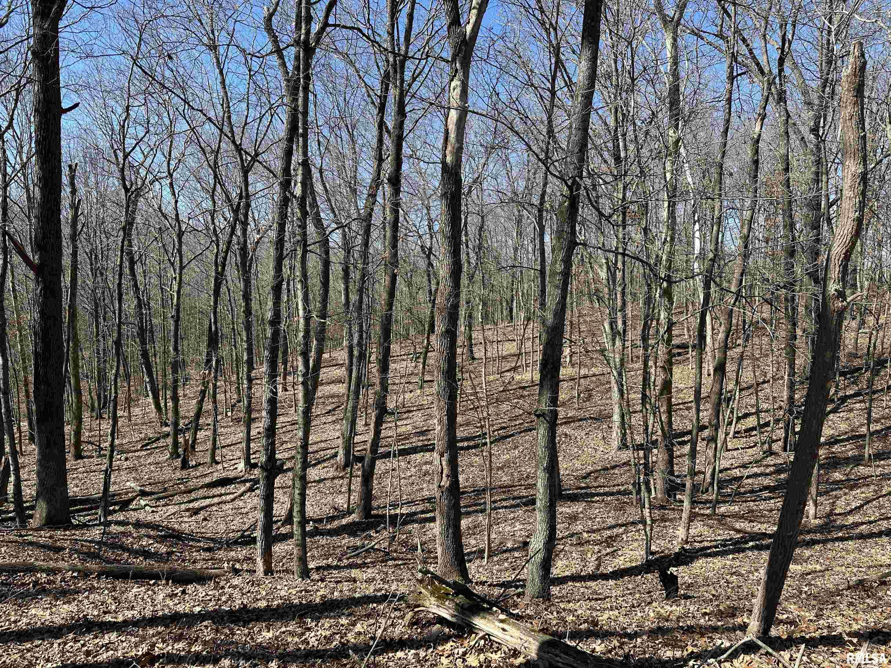 0 Propes Road Iuka, IL 62849 - Photo 65 of 100