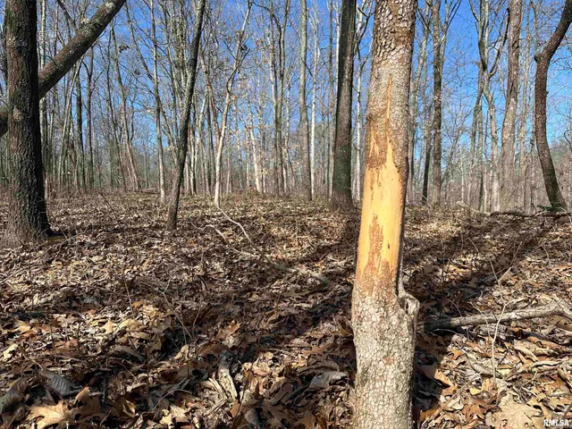 $840,000 | 0 Propes Road, Iuka, IL 62849