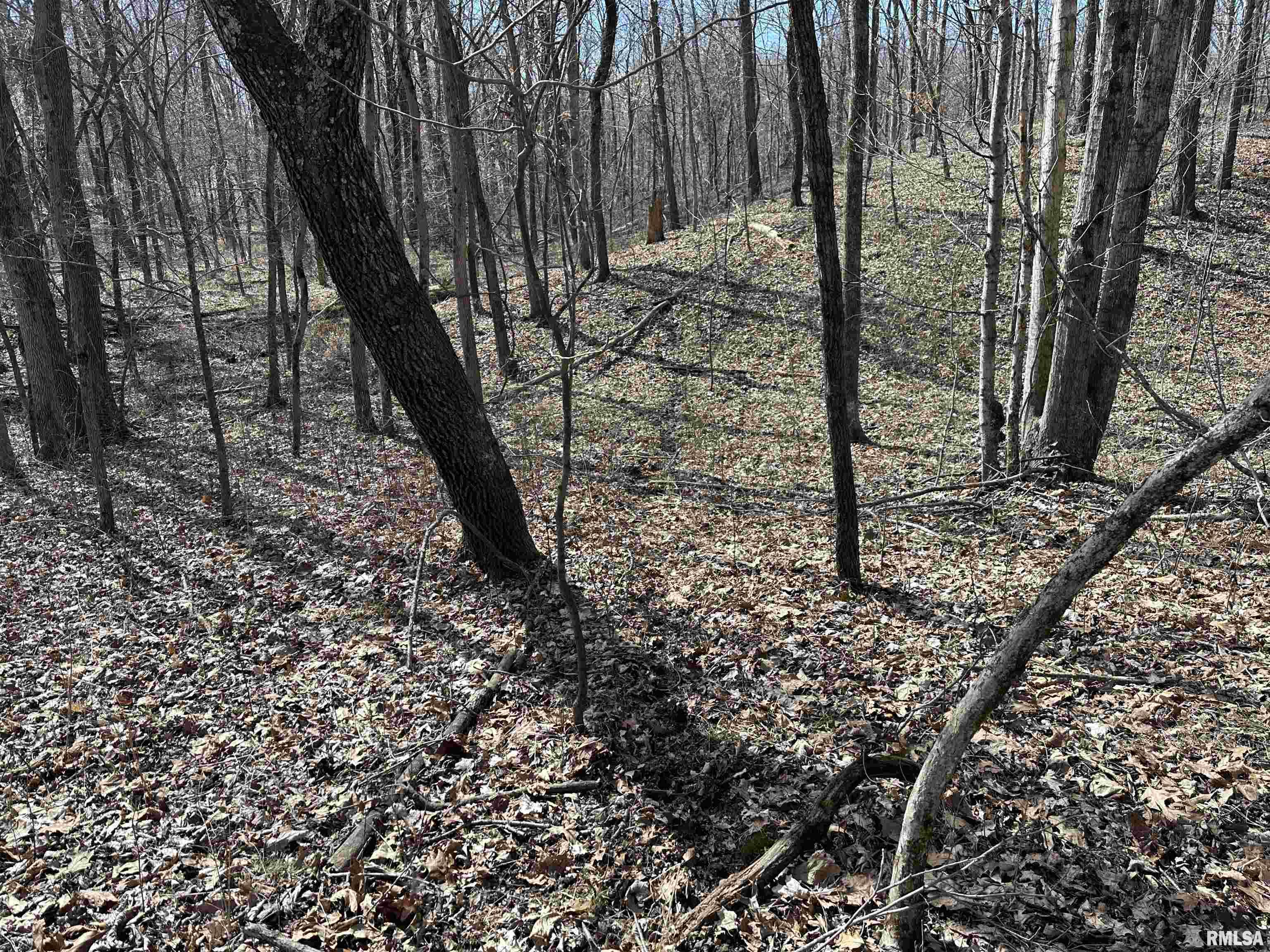 0 Propes Road Iuka, IL 62849 - Photo 67 of 100