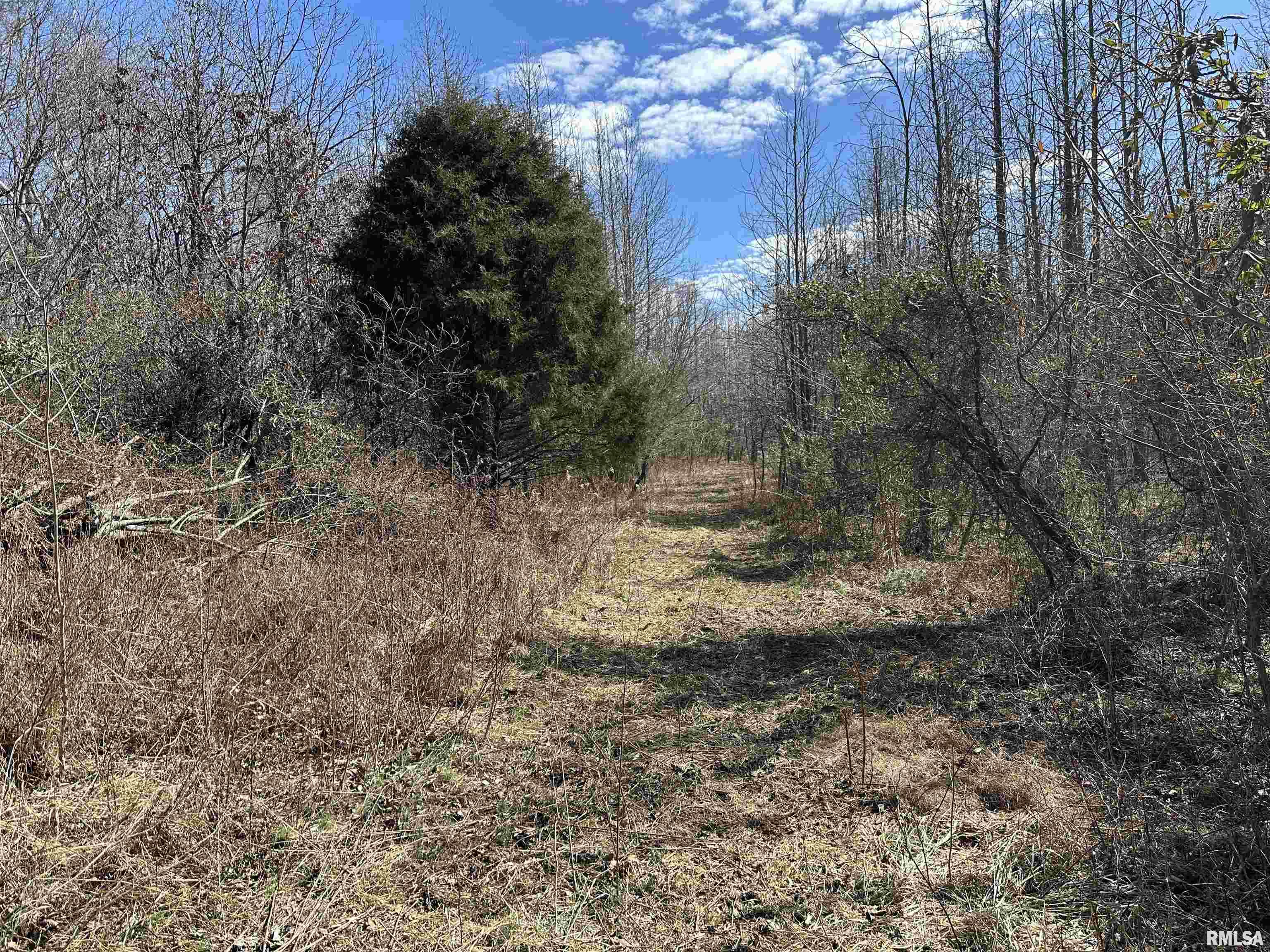 0 Propes Road Iuka, IL 62849 - Photo 68 of 100