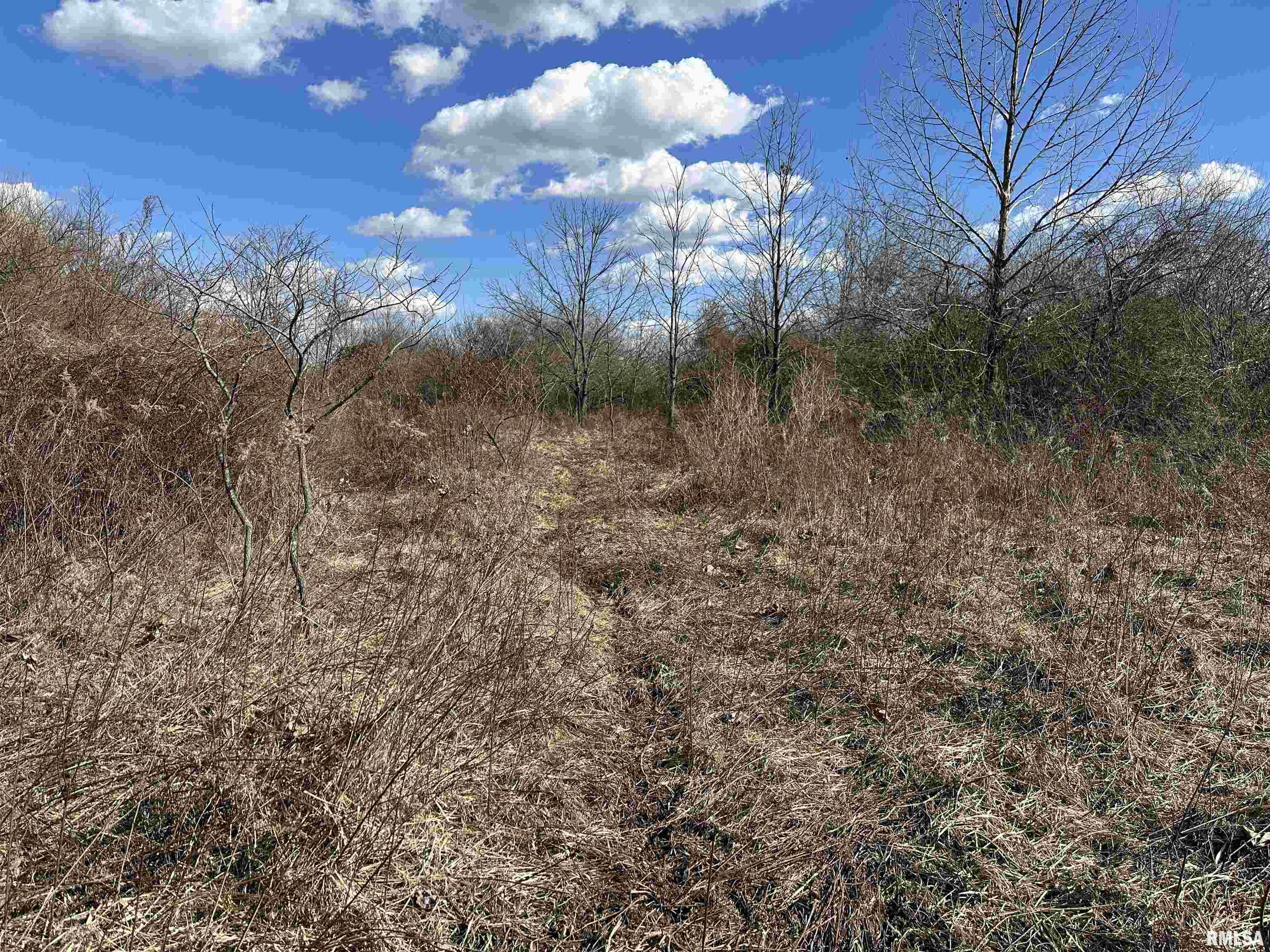 0 Propes Road Iuka, IL 62849 - Photo 69 of 100