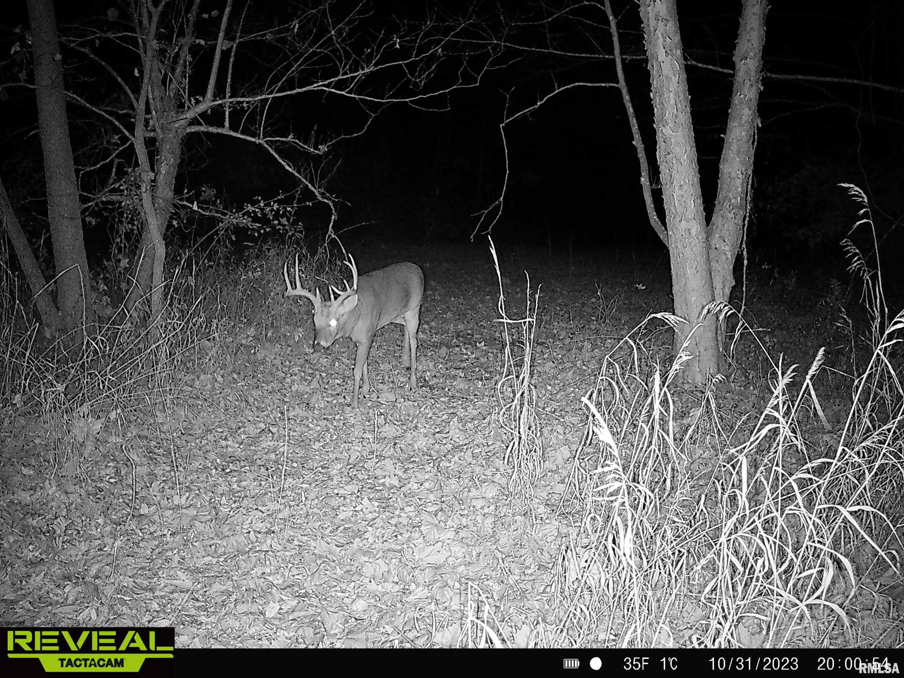 0 Propes Road Iuka, IL 62849 - Photo 70 of 100